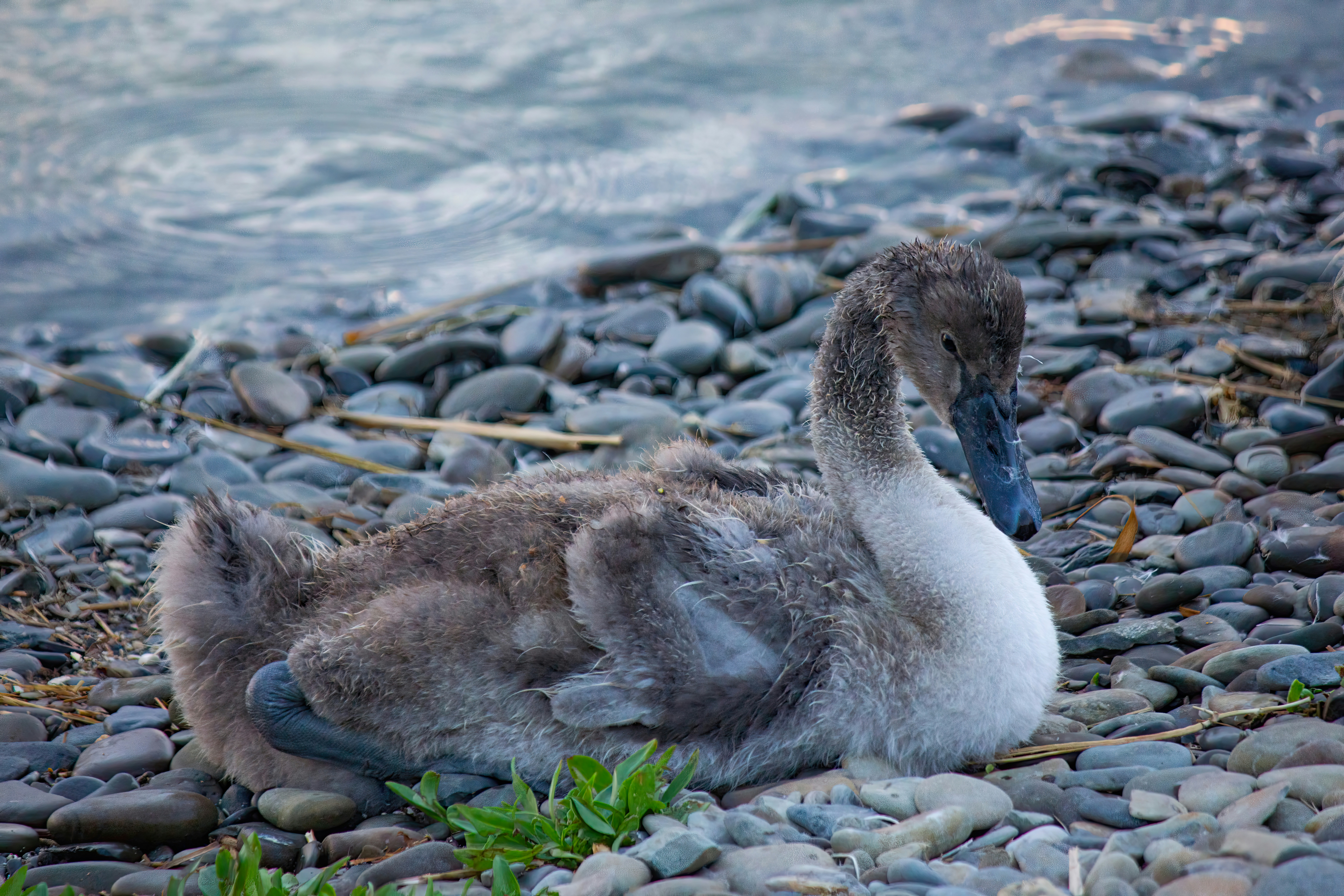 Photo by stepan_konev