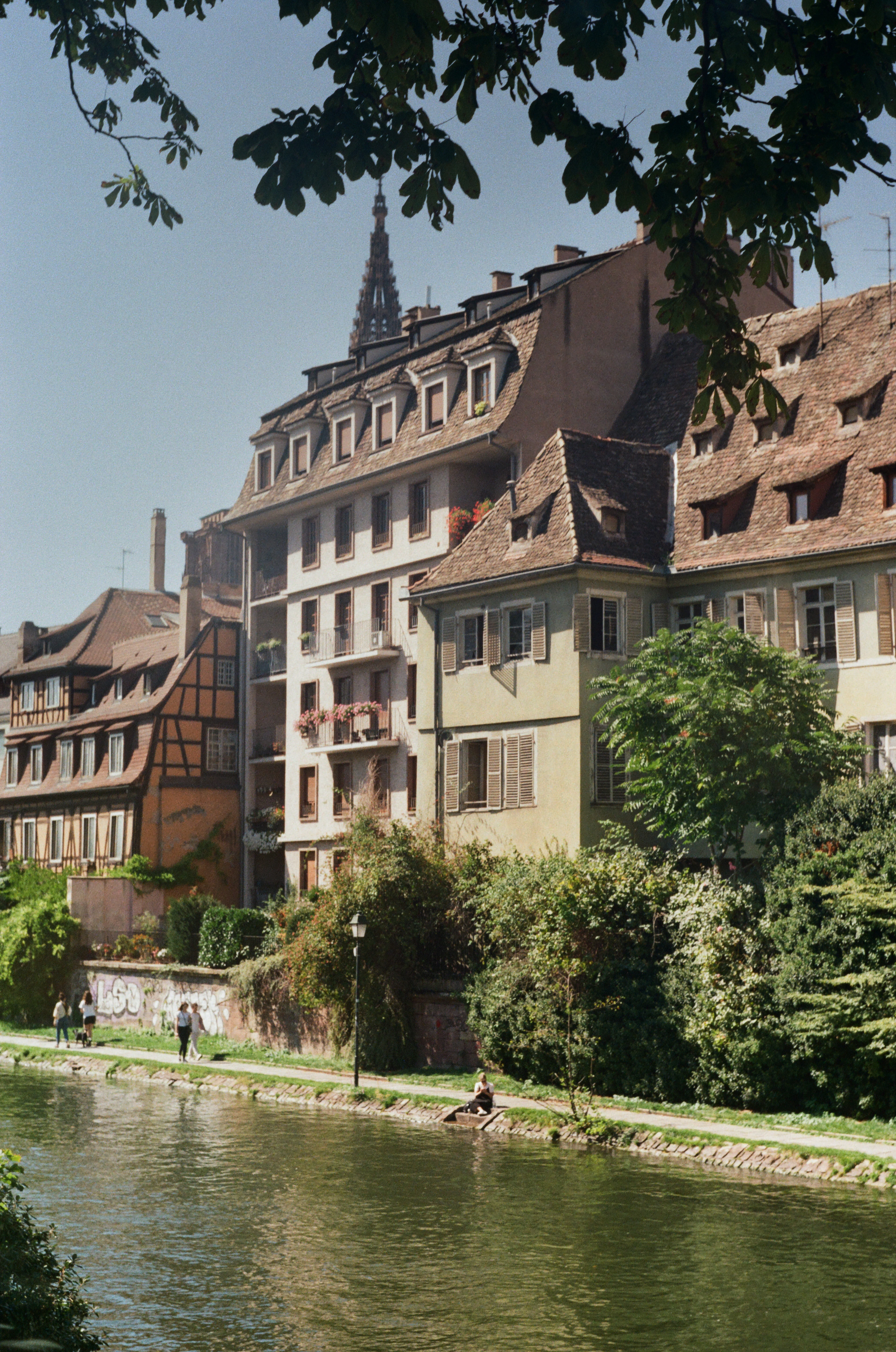 A person punts a small boat down a canal in Strasbourg, the cathedral spire rising above the rooftops beyond.