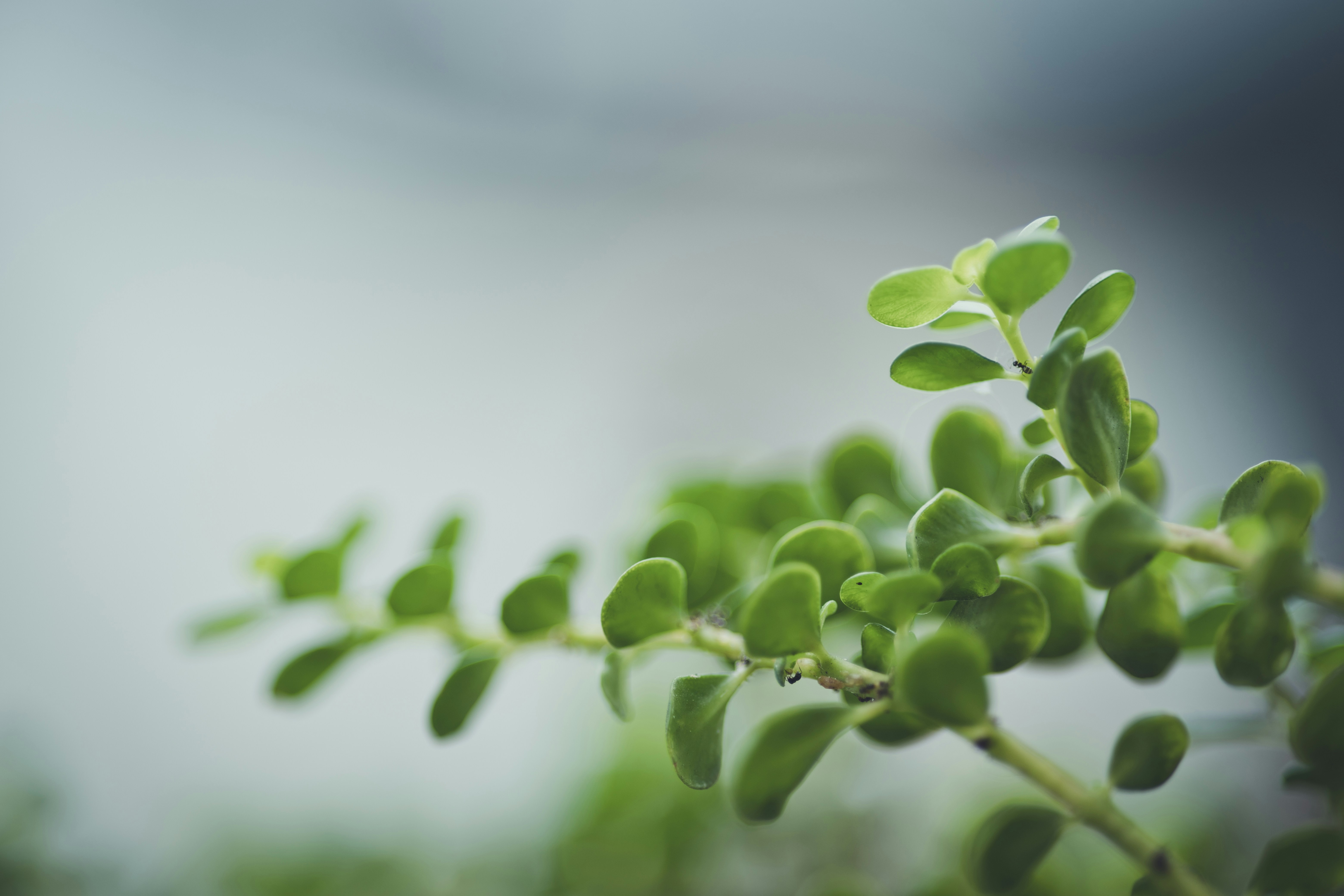 Photo by rrodriguesim