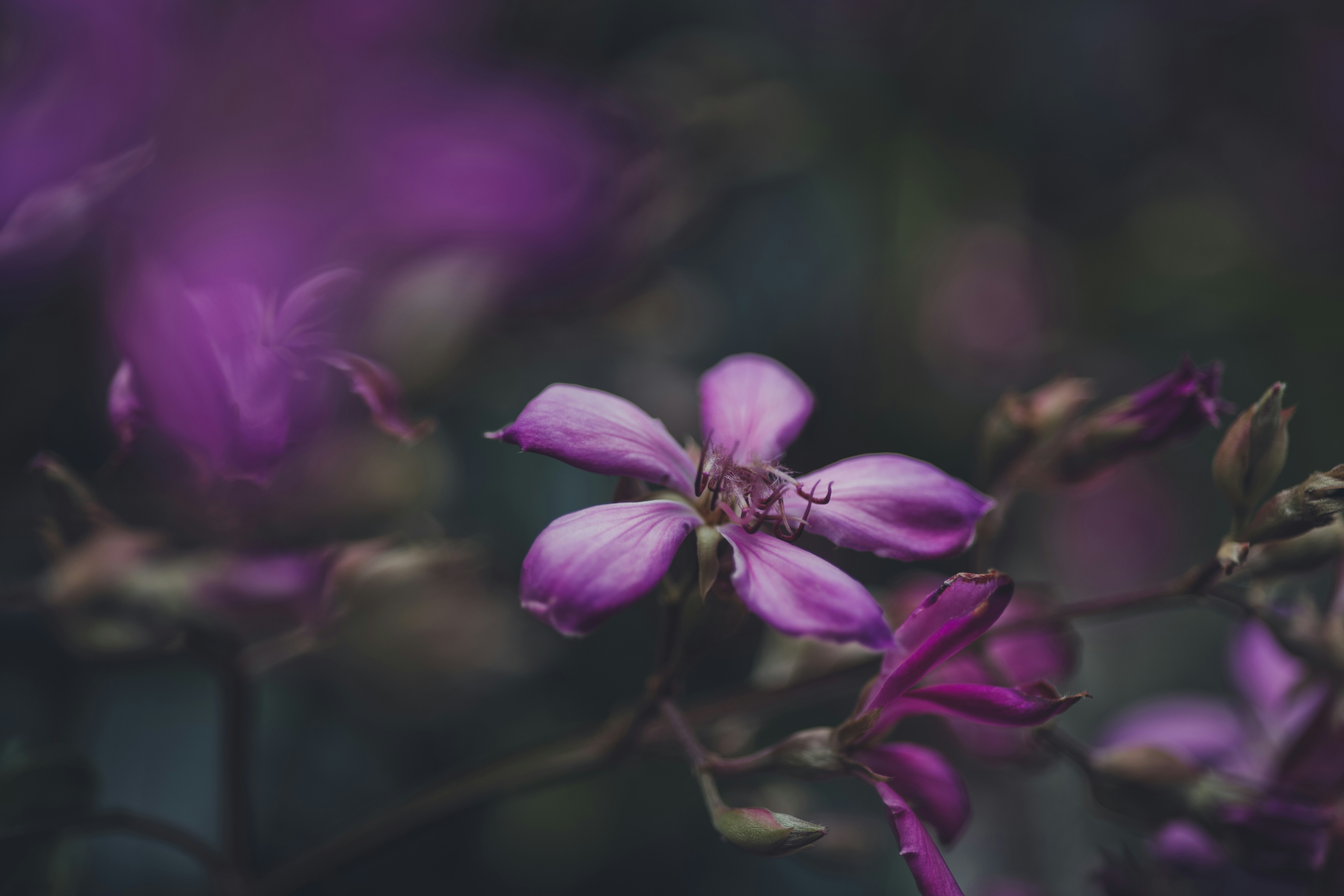 Photo by rrodriguesim