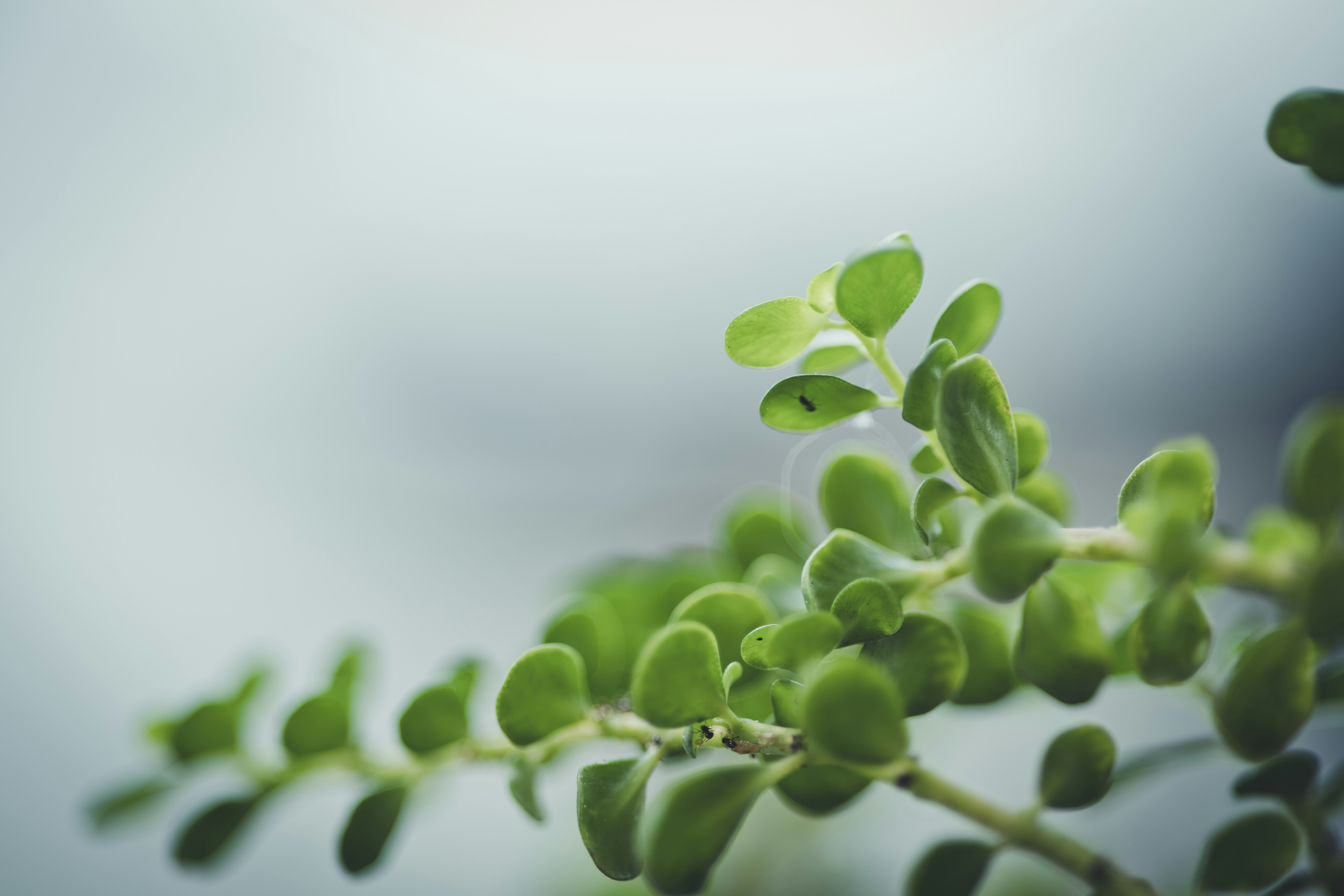 Photo by rrodriguesim