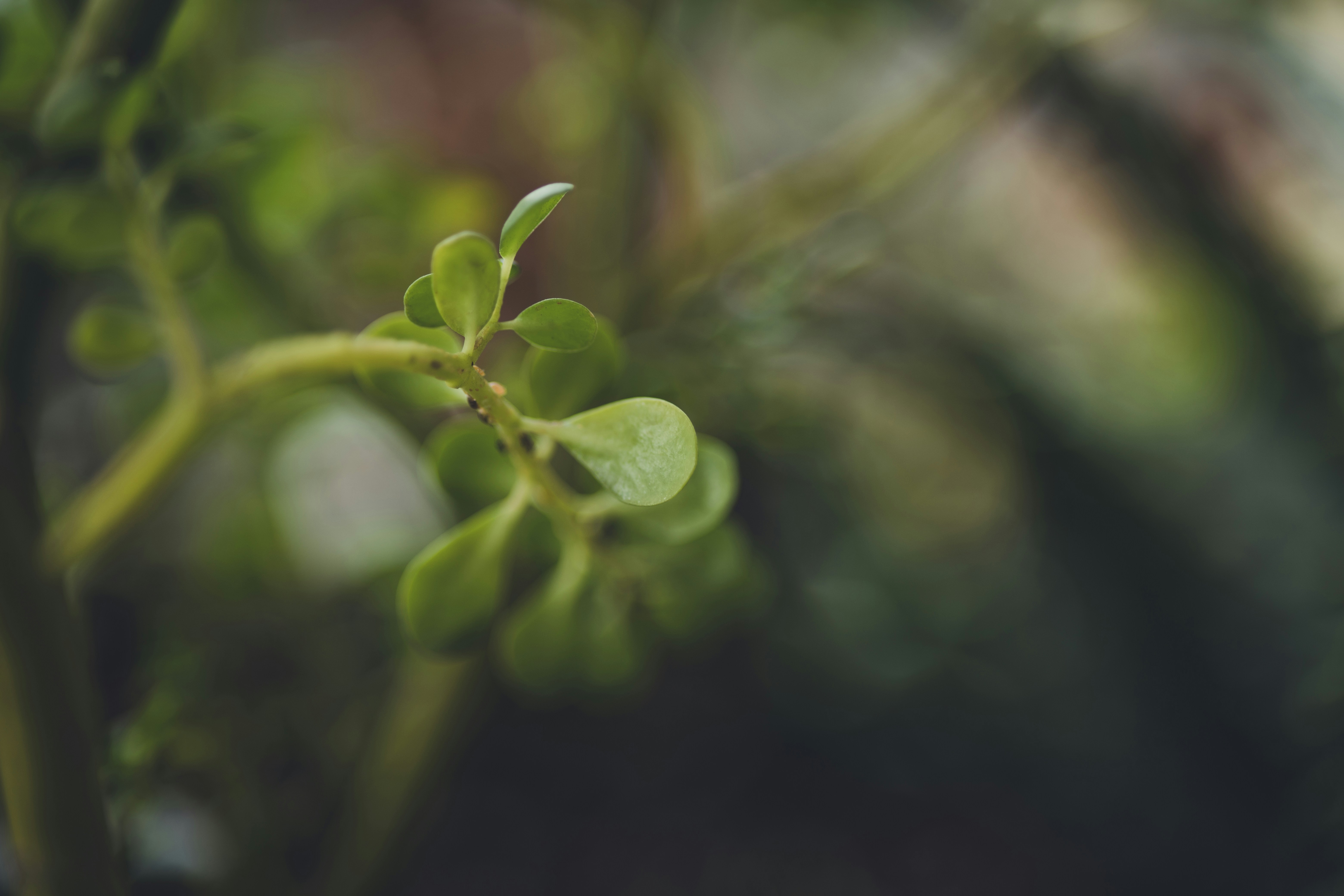 Photo by rrodriguesim