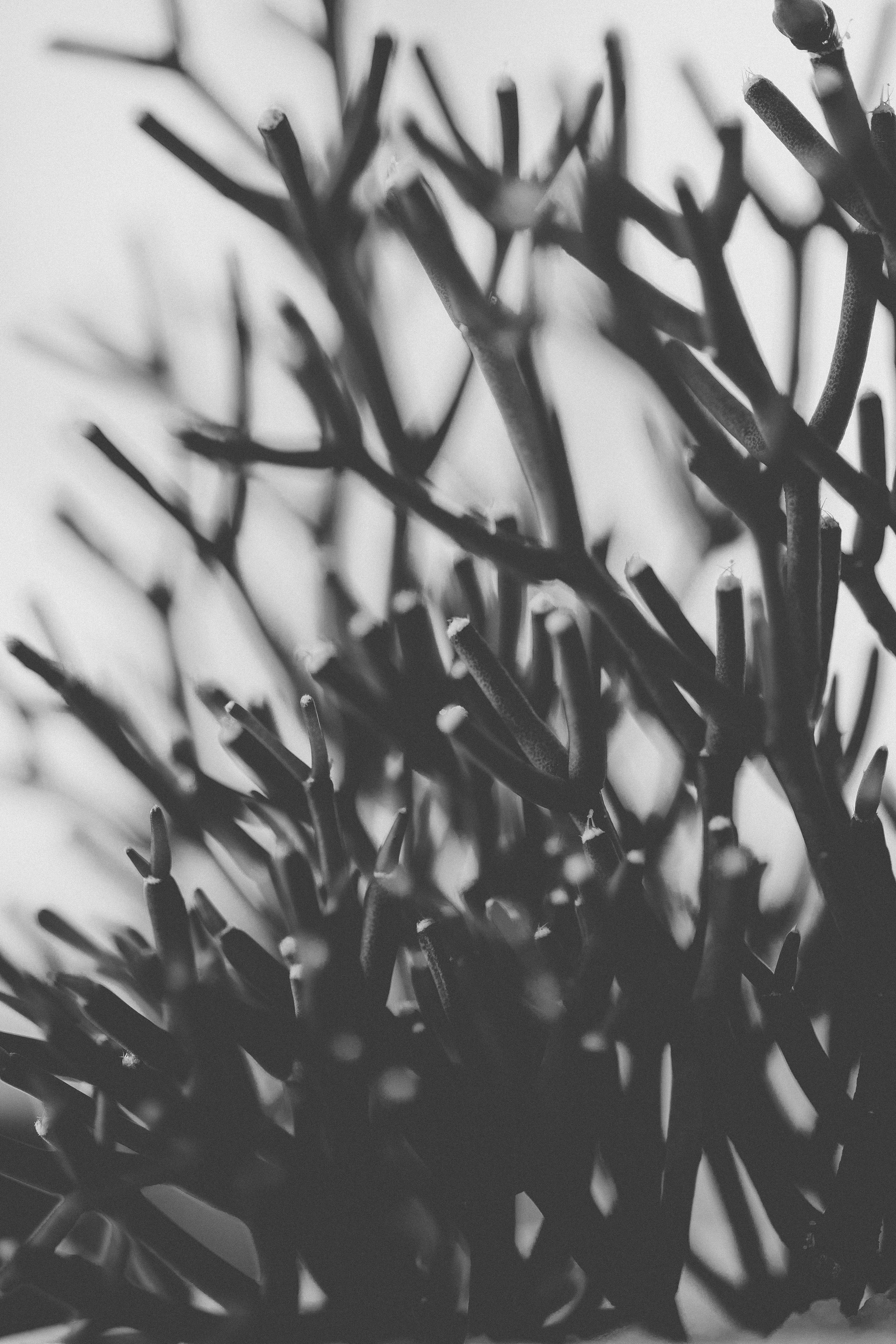 Photo by rrodriguesim