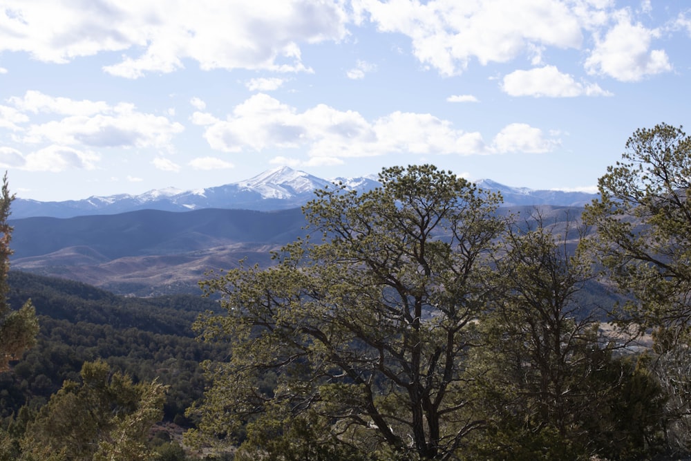 a view of a mountain range with trees and mountains in the background