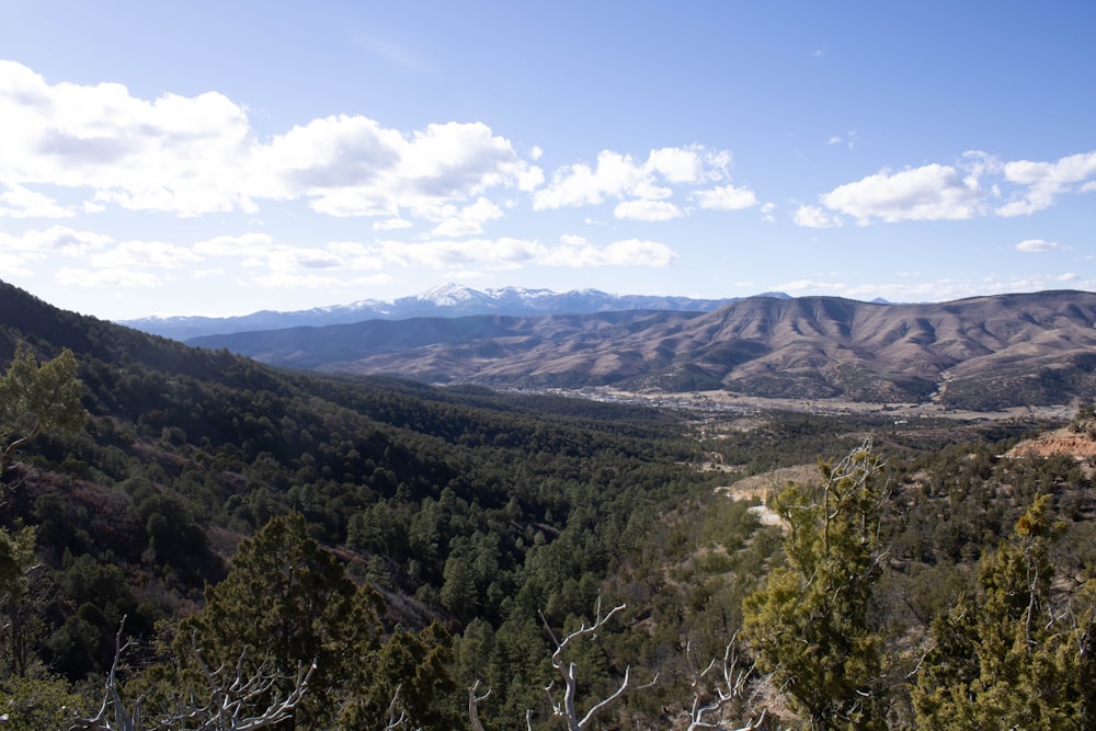 a view of a valley with mountains in the background