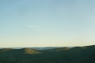 a plane flying over a lush green hillside