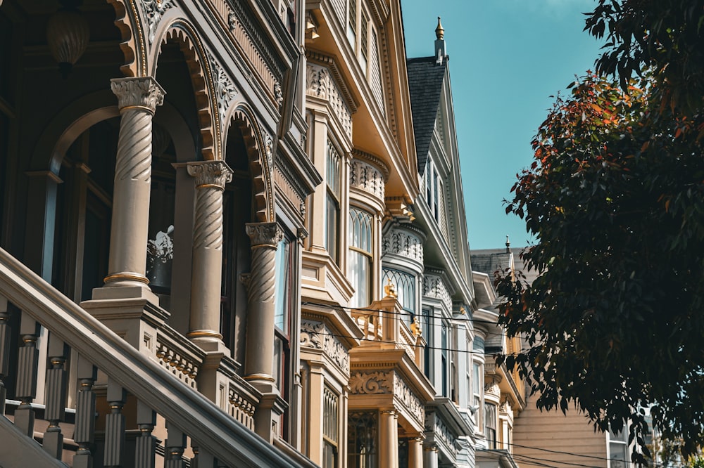 a row of houses with a tree in front of them