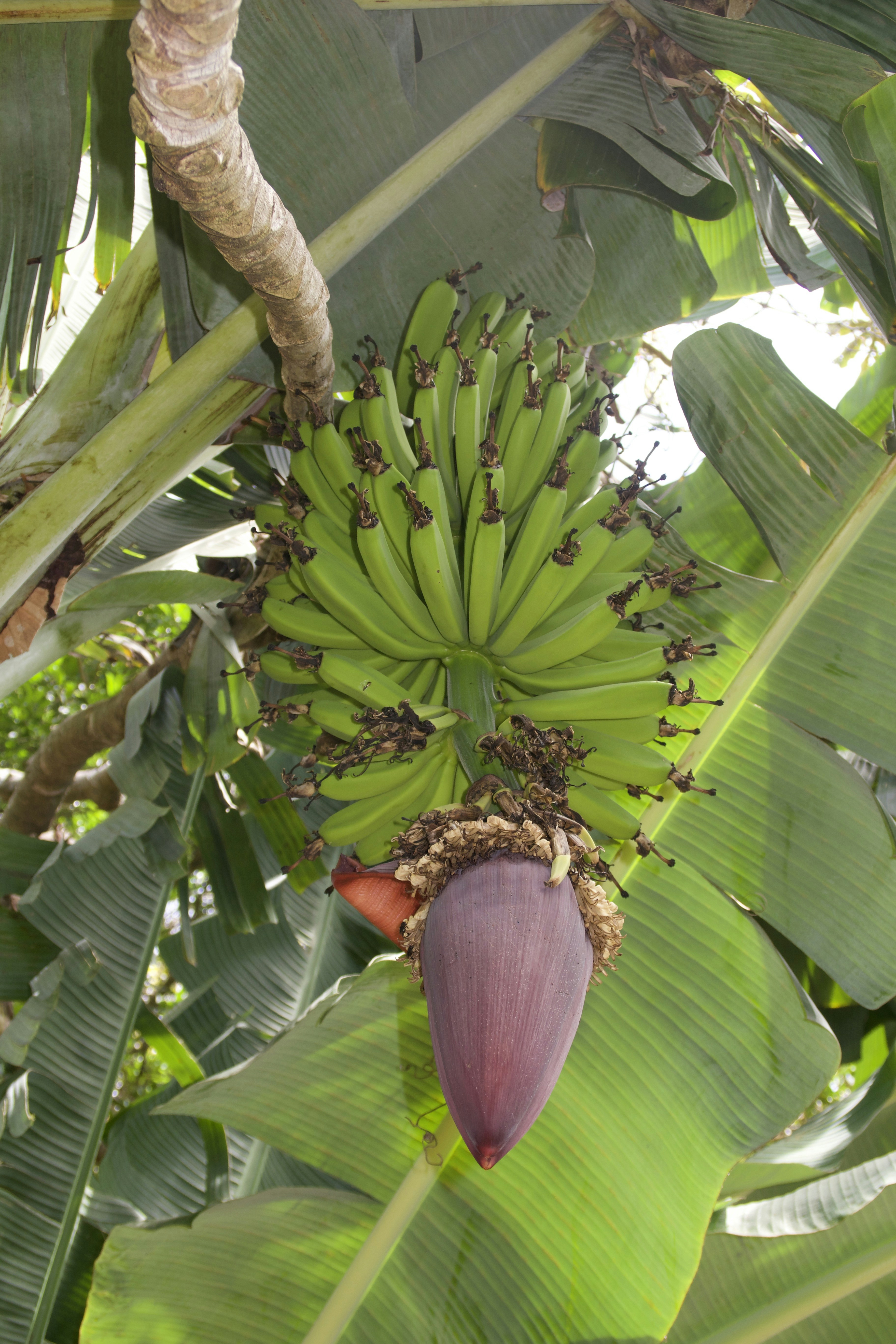 Photo by madelinedale