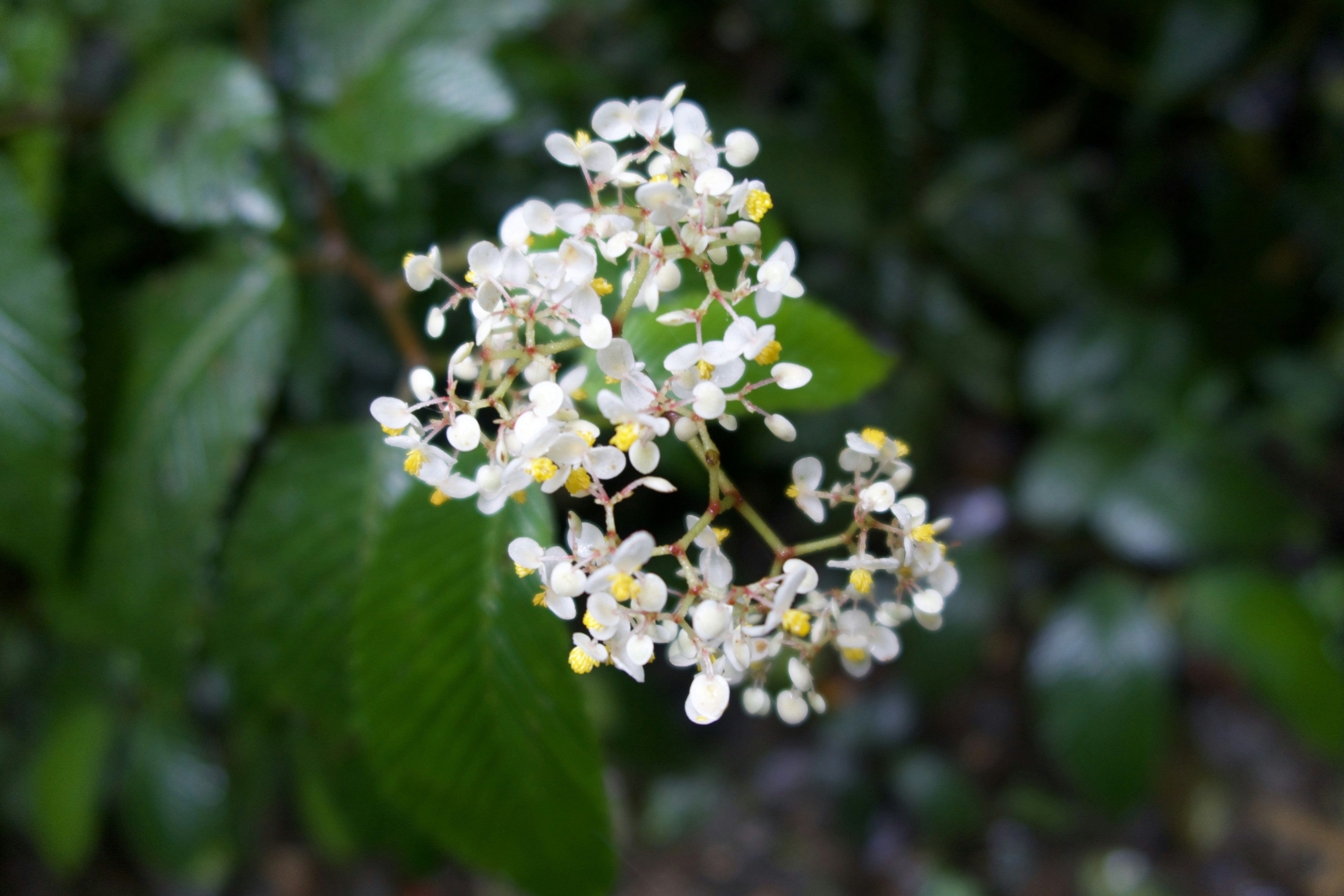 Photo by madelinedale