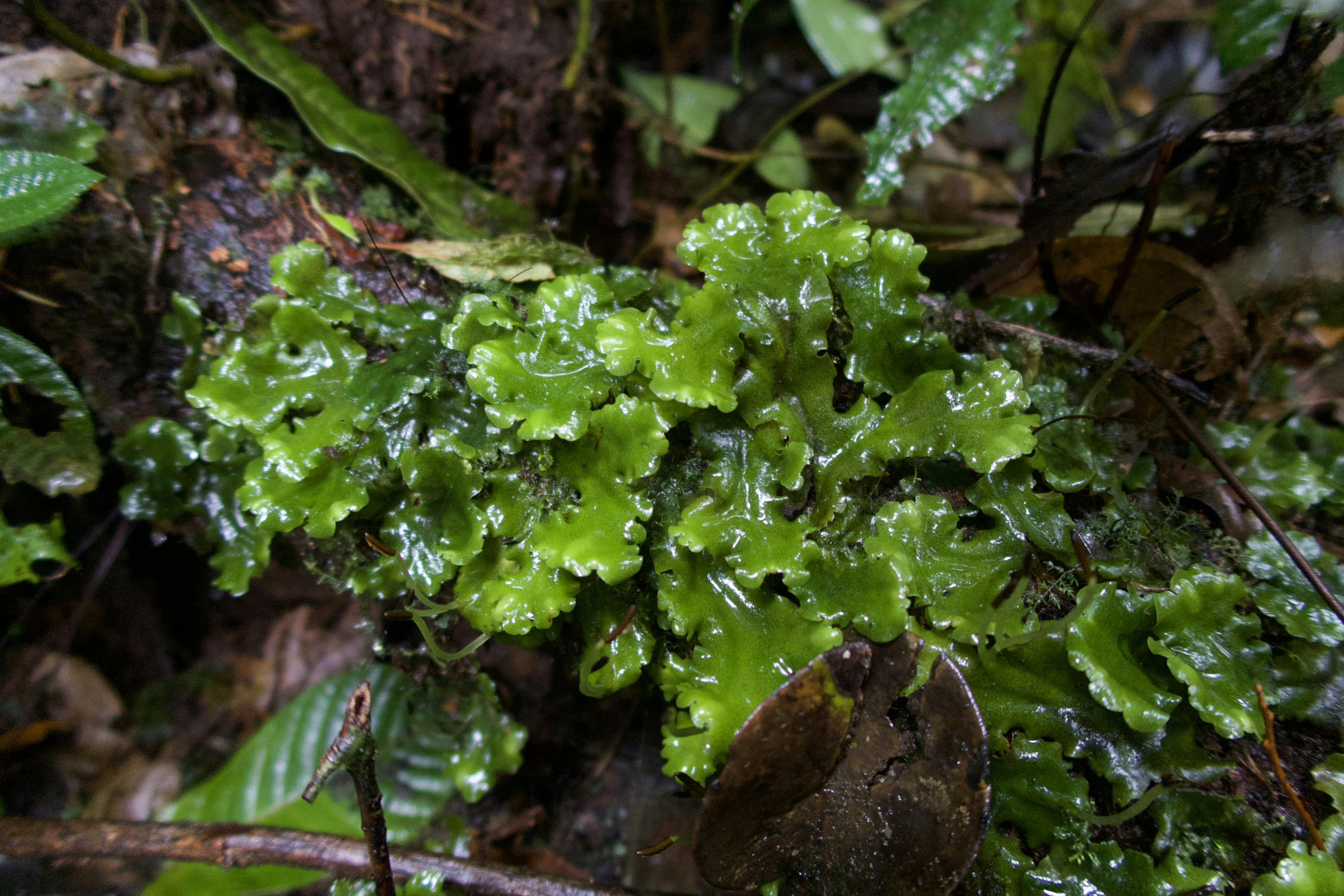 Photo by madelinedale