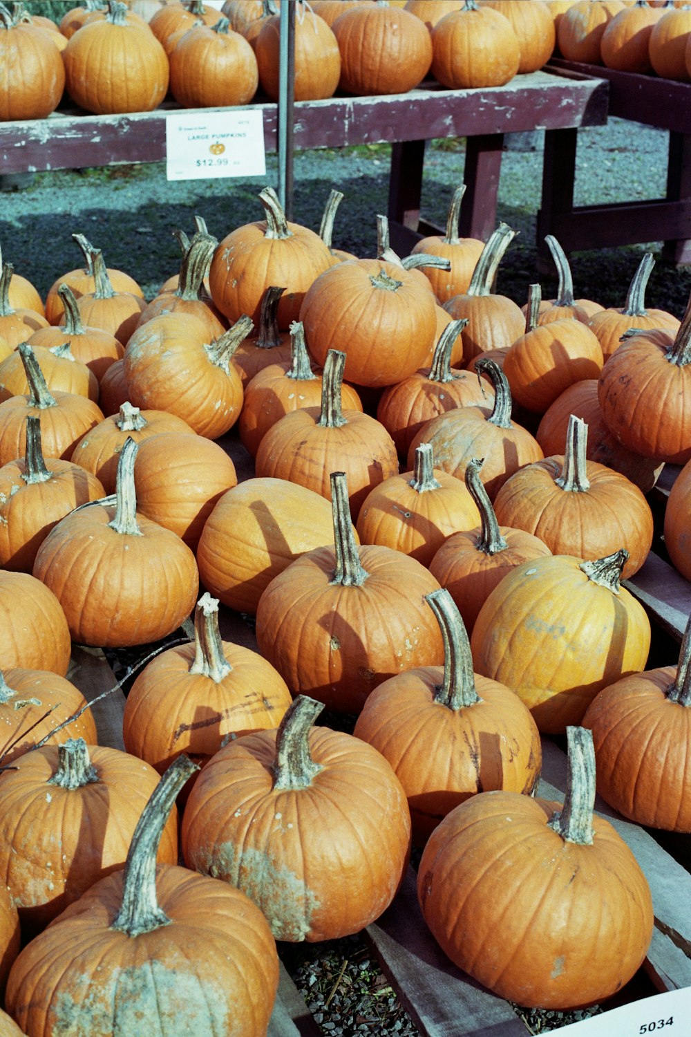 a pile of pumpkins sitting on top of a wooden table