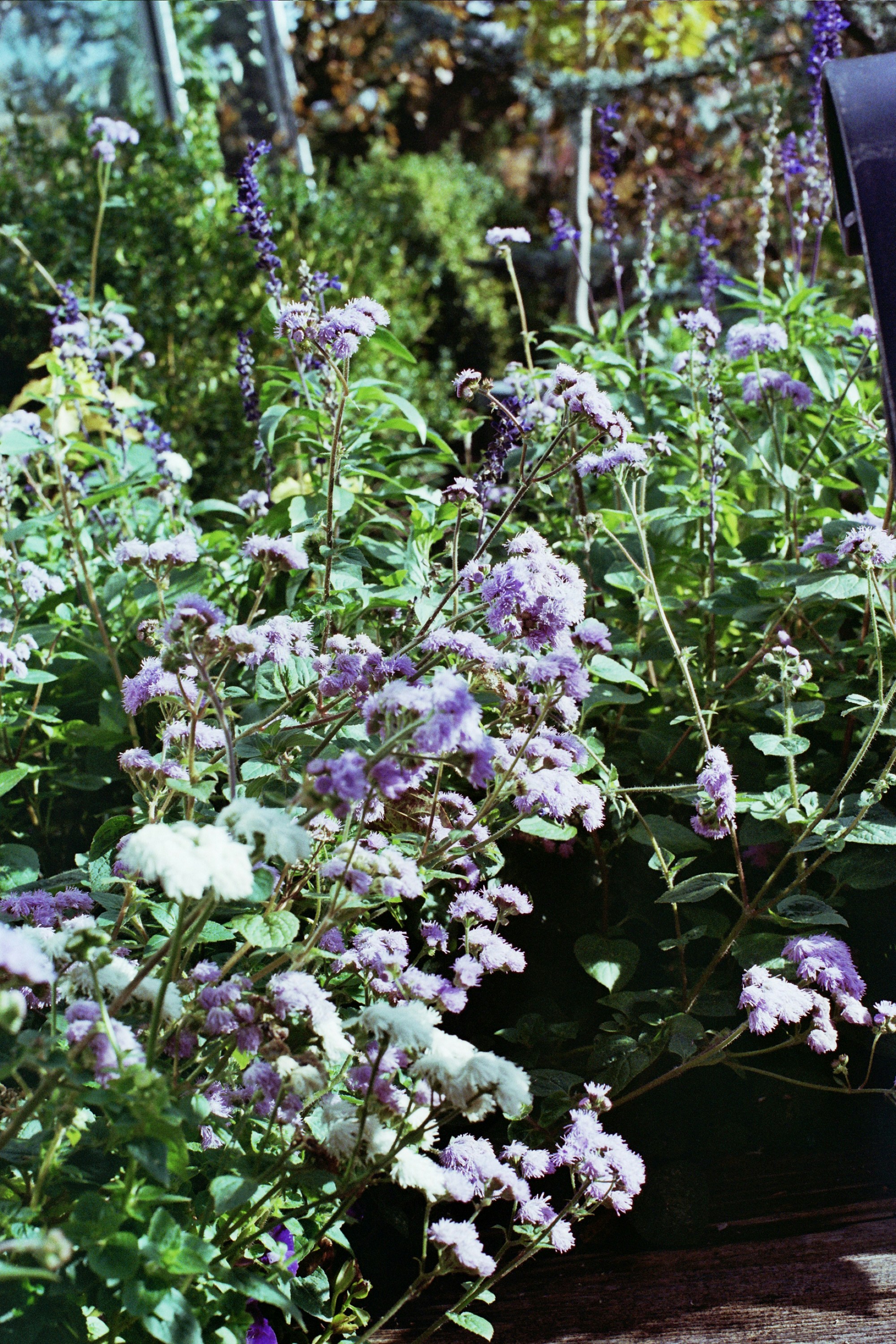 Photo by alengarciab