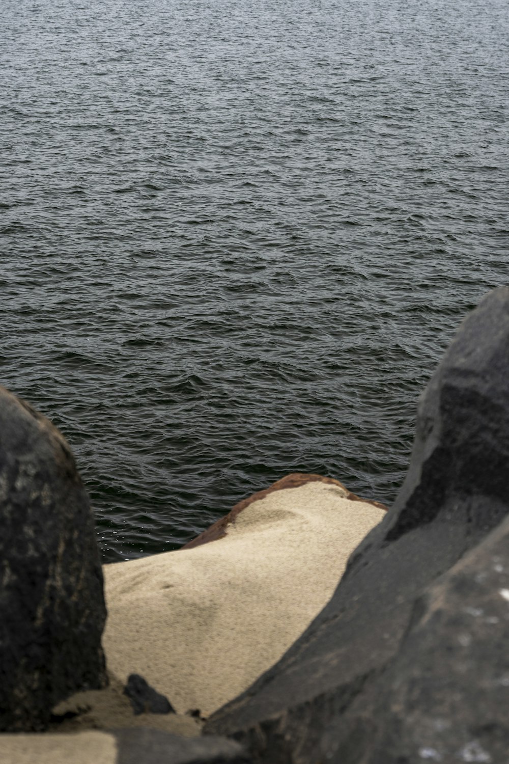 a bird is sitting on a rock near the water