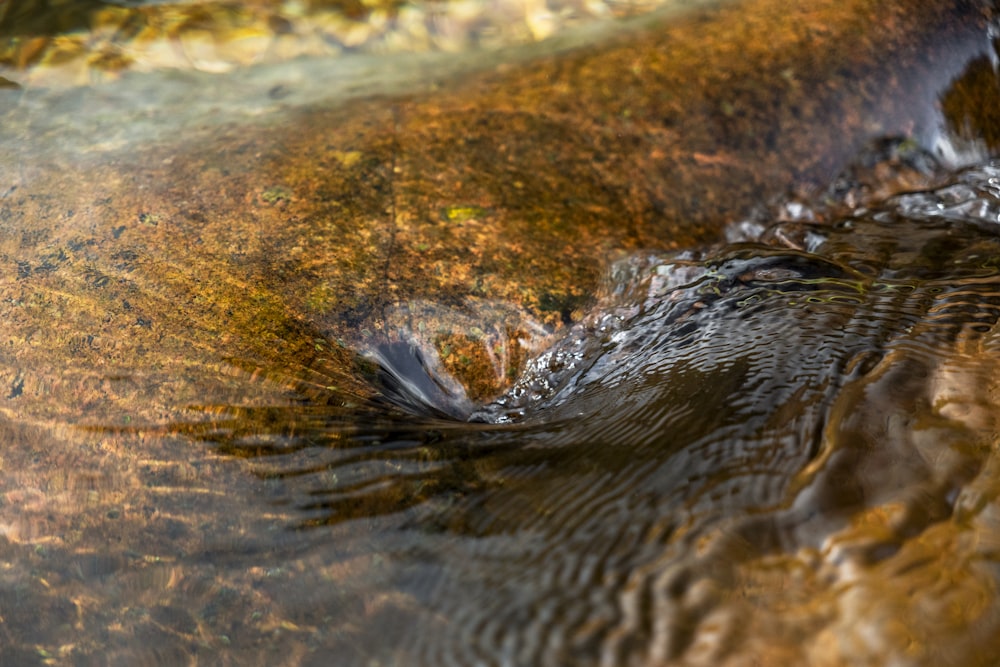 a close up view of the water and rocks