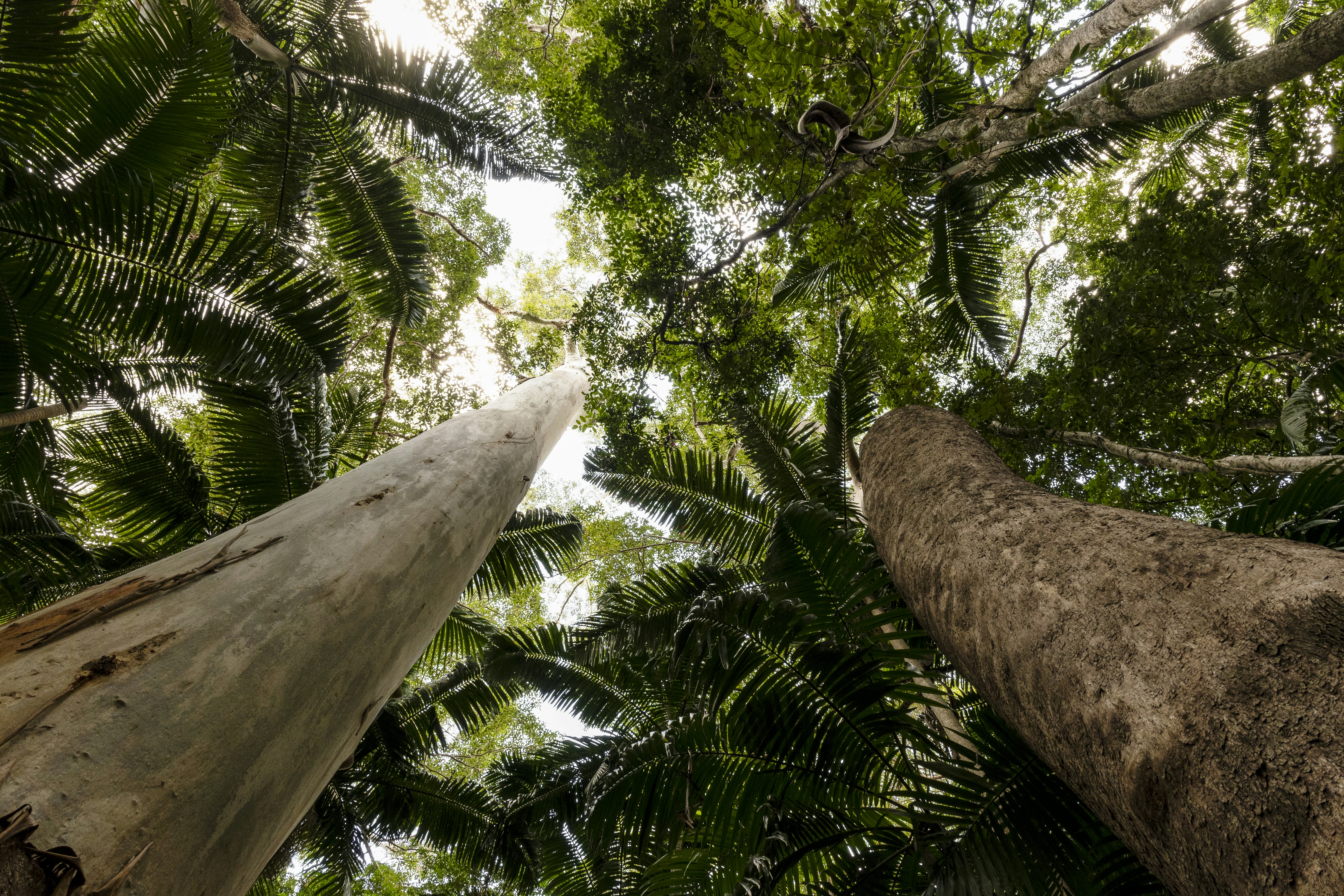 Photo by _wolfadventures