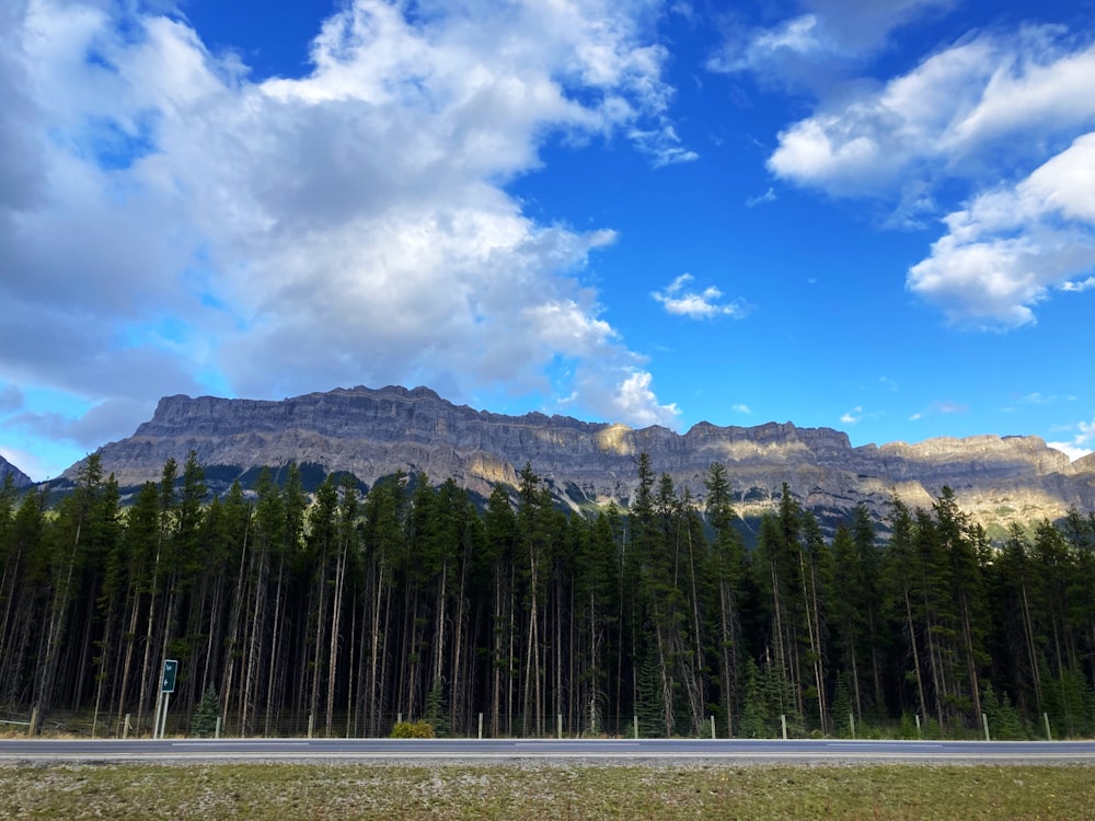 a scenic view of a mountain range with trees in the foreground