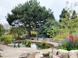 a pond surrounded by trees and flowers in a park