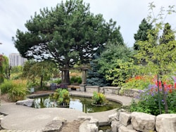 a pond surrounded by trees and flowers in a park
