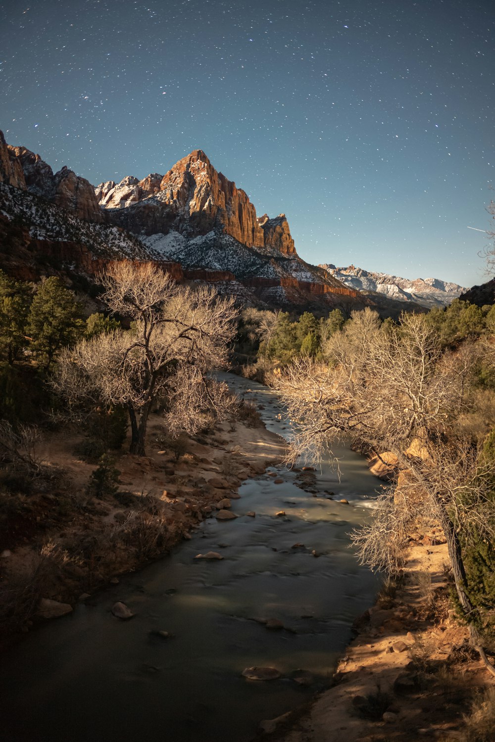 a river running through a lush green forest under a night sky