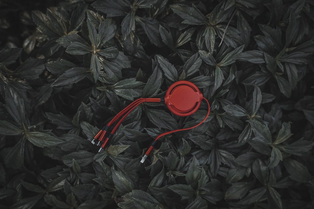 a pair of headphones laying on top of a bush