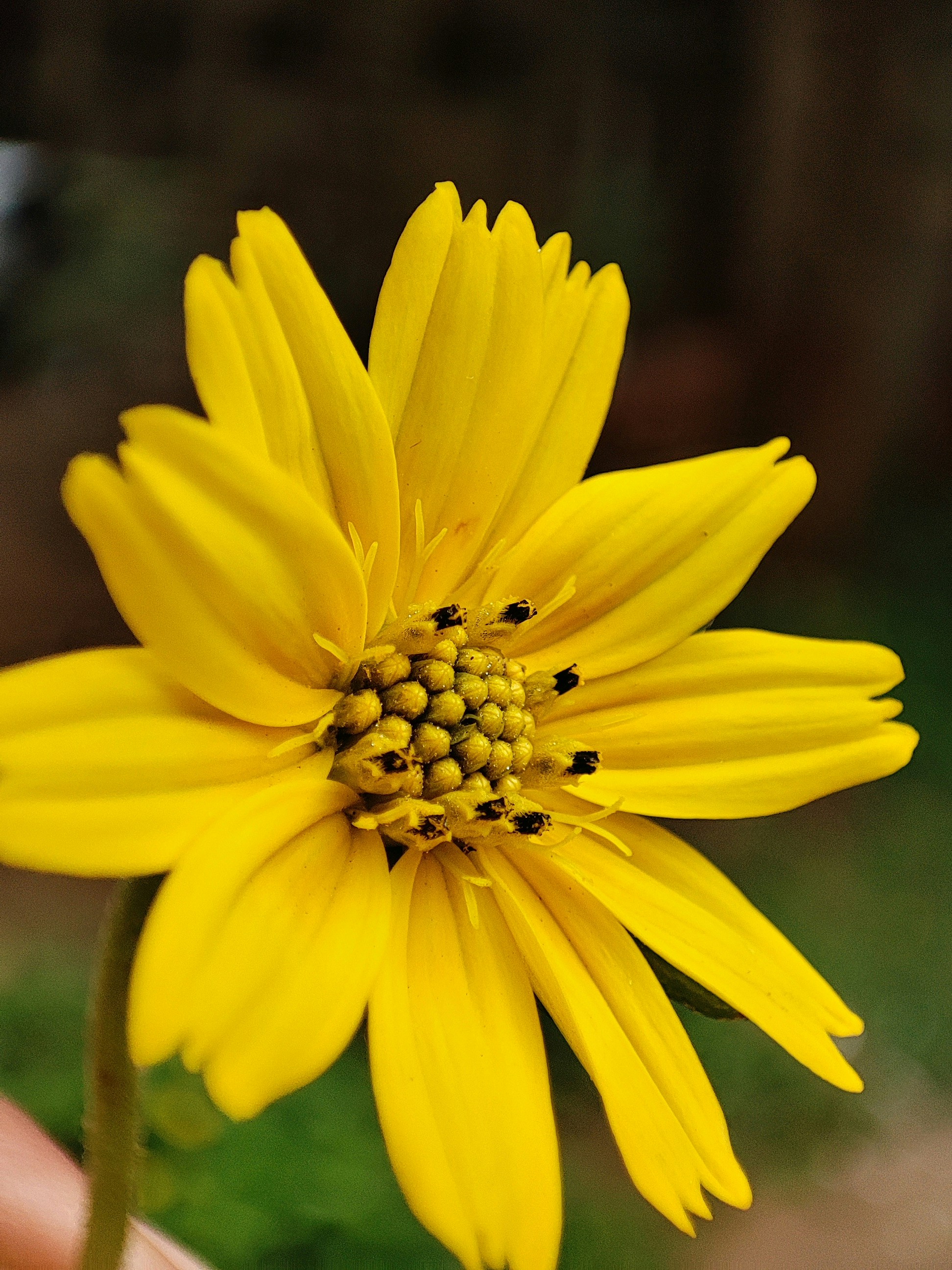 Photo by pranav_ijantkar04