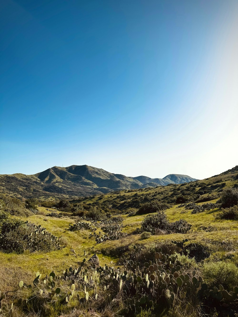 a grassy field with mountains in the distance