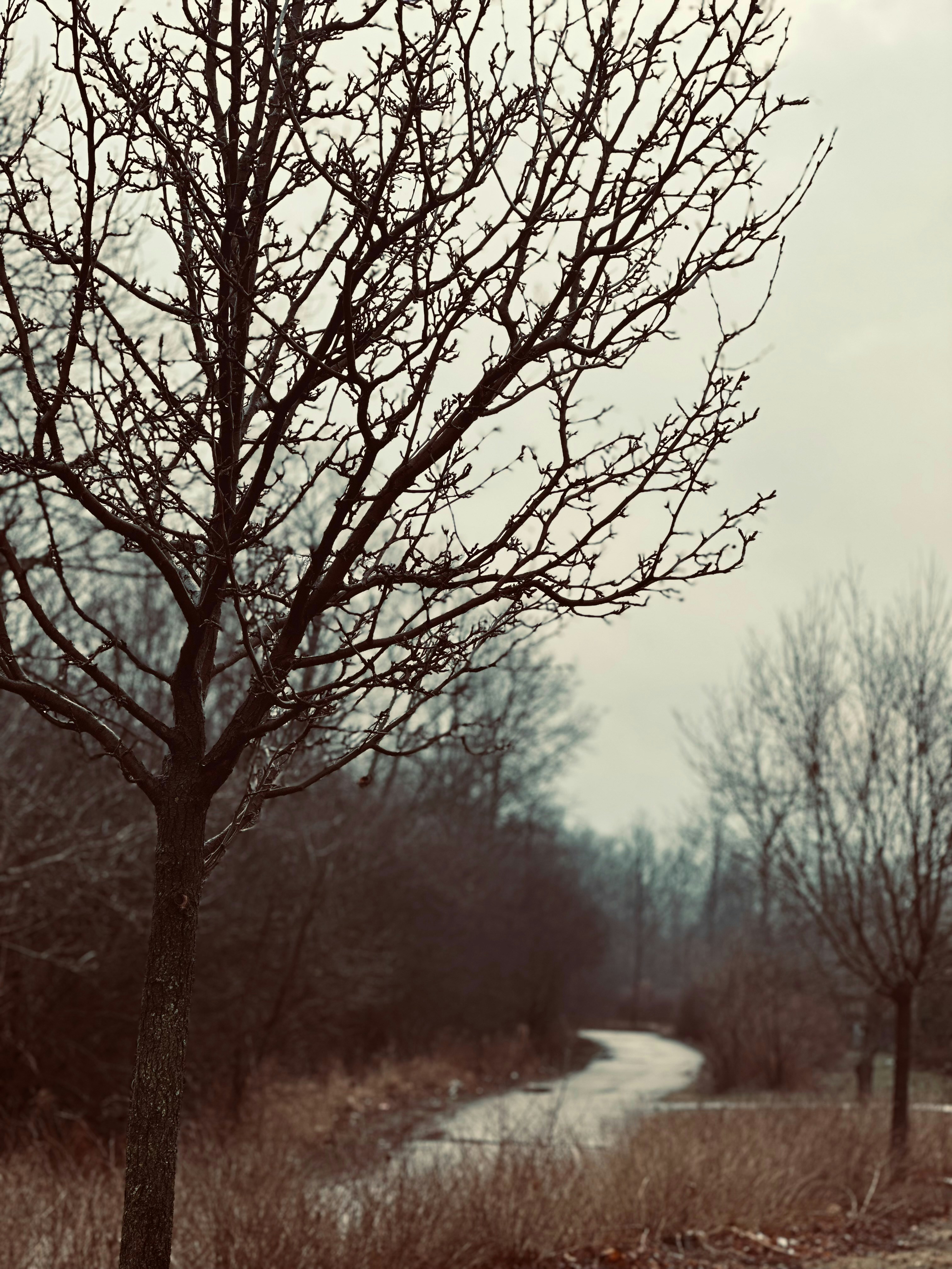 Photo by mdeepkandola
