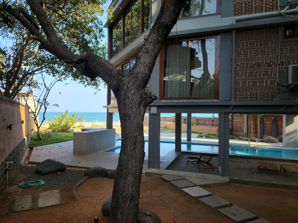 a tree in front of a house next to a swimming pool