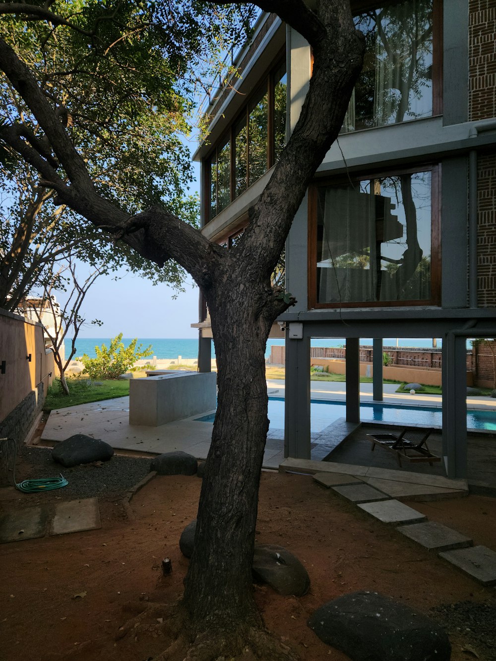 a tree in front of a house with a view of the ocean