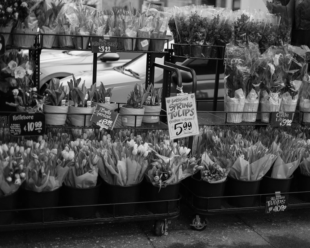 a black and white photo of a flower stand