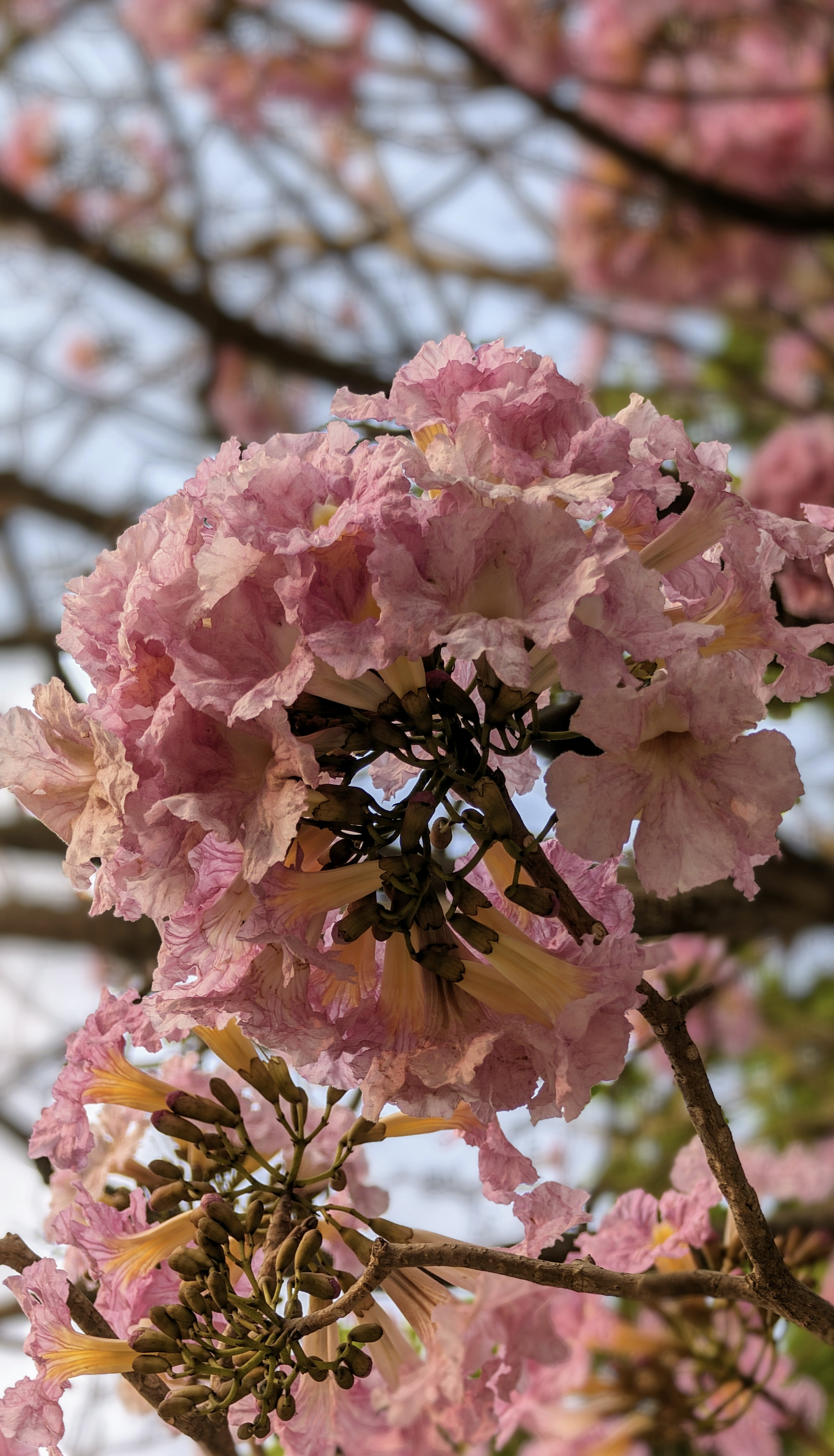 Photo by vishnuswaroopvs