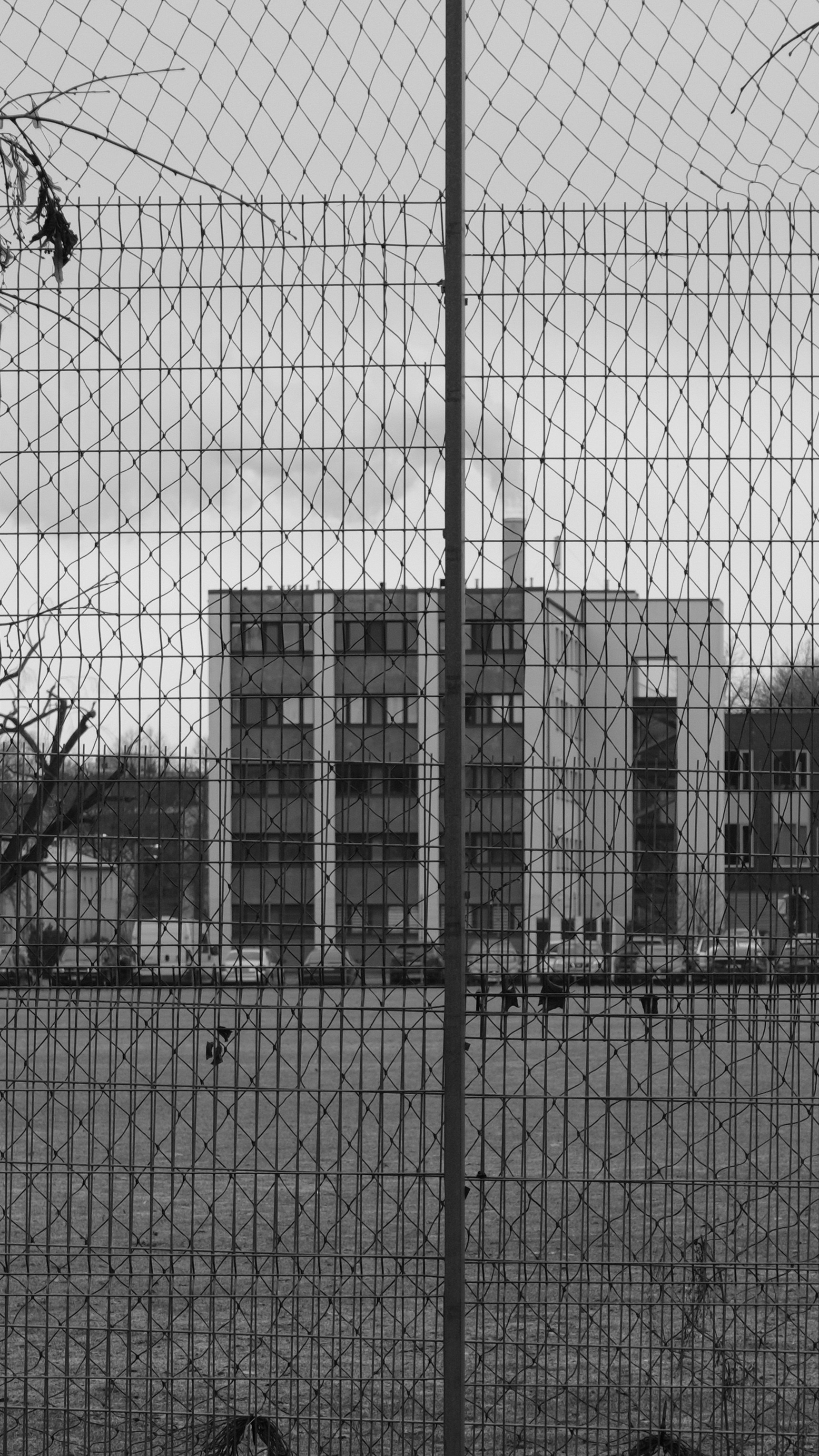 Photo by exoticbamboo