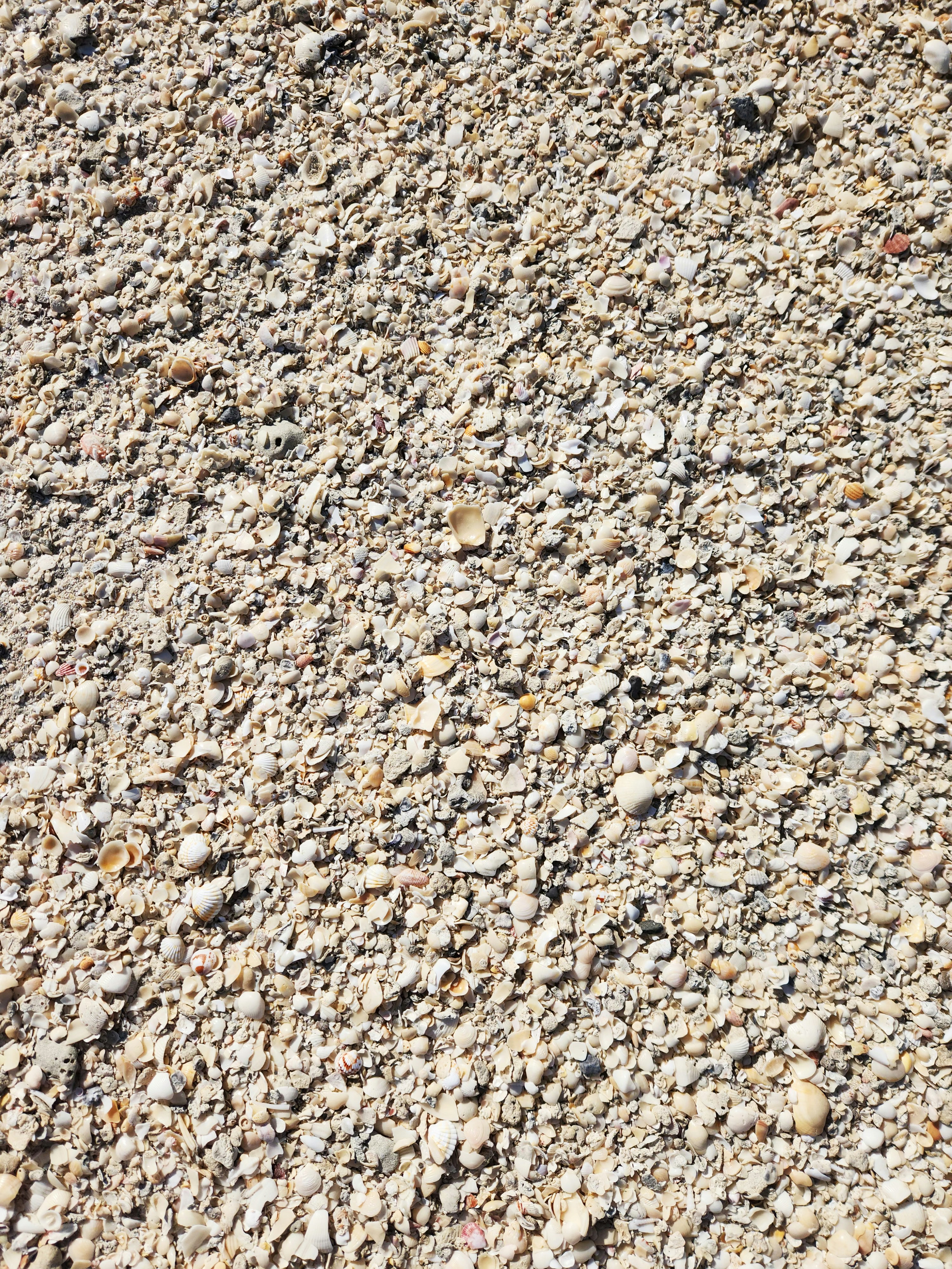 Photo by your_scorpion