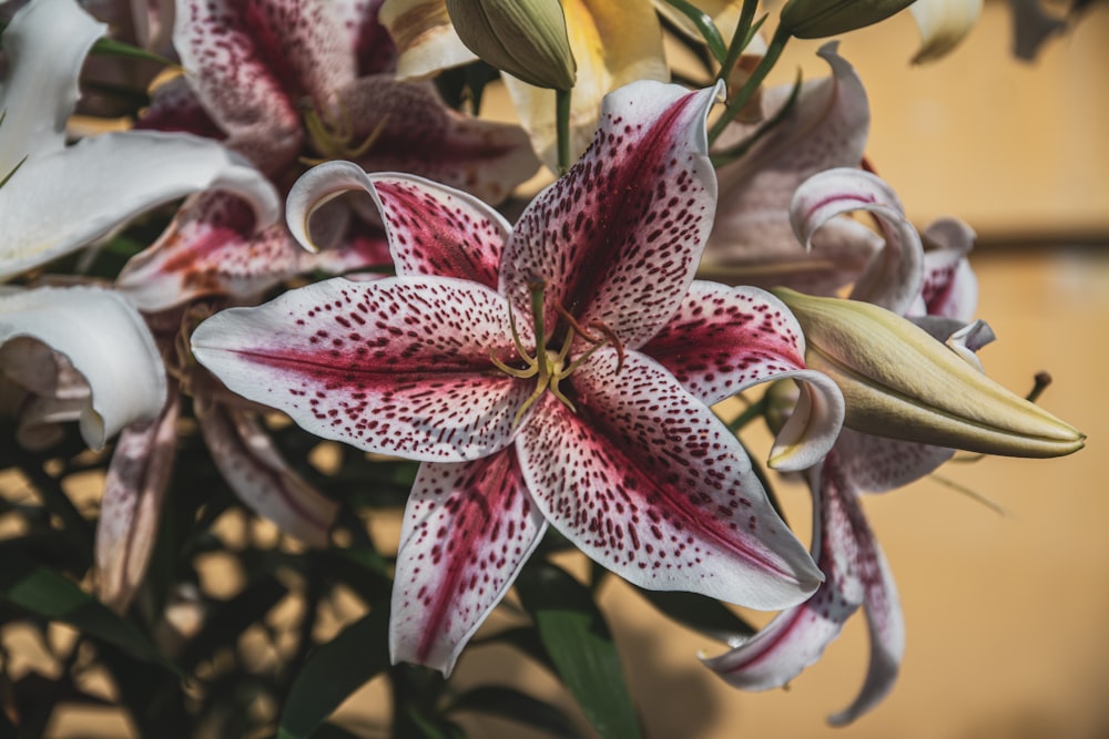 a bunch of flowers that are in a vase