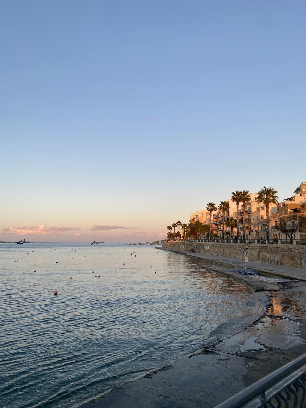 a view of a beach with palm trees in the background