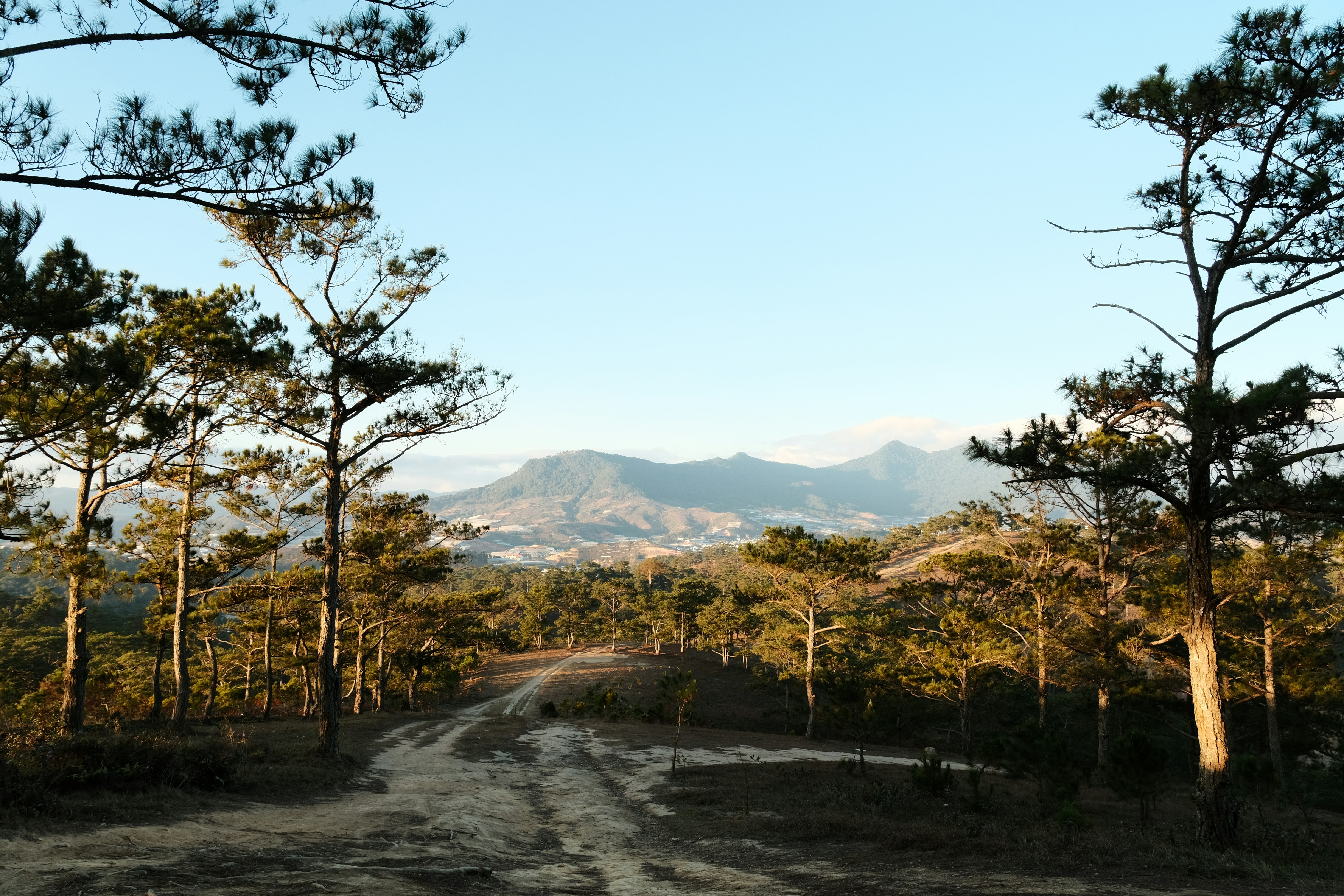 a dirt road surrounded by trees and mountains
