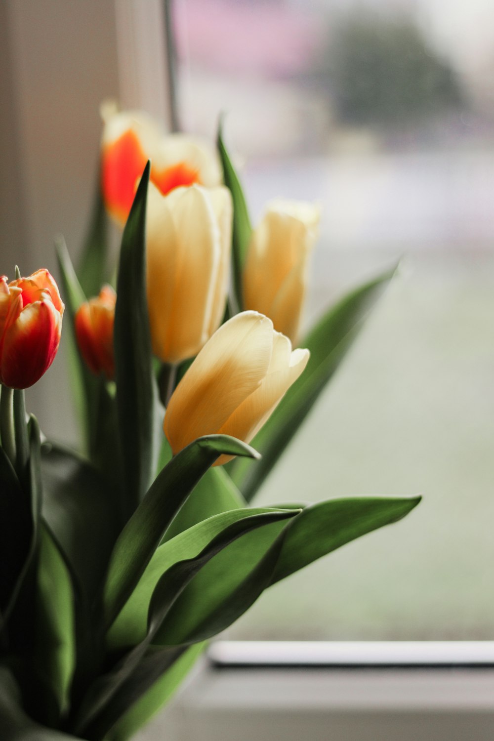 a vase filled with yellow and red flowers