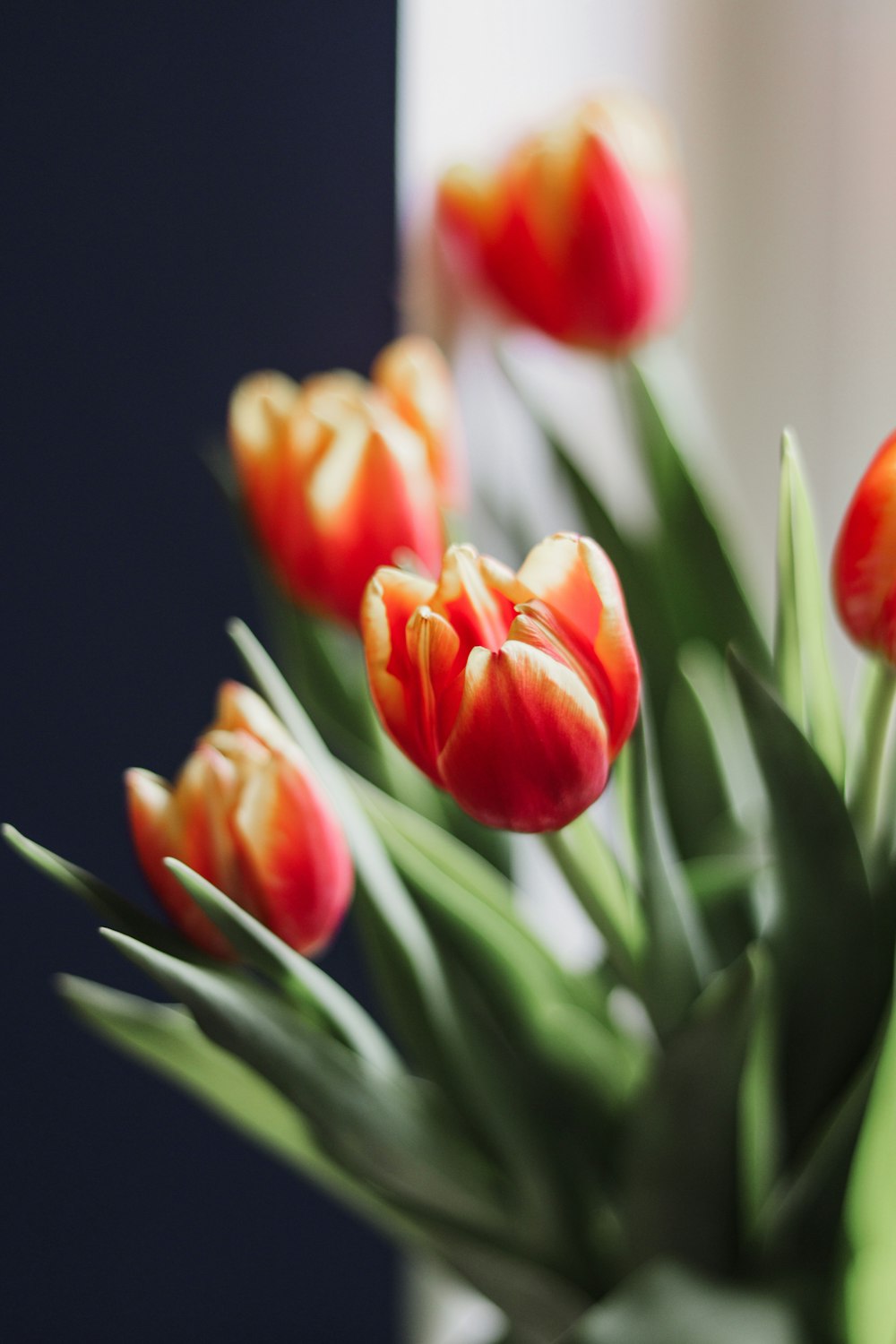 a bunch of red and yellow tulips in a vase