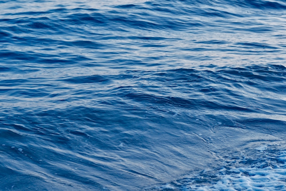 a man riding a surfboard on top of a wave in the ocean