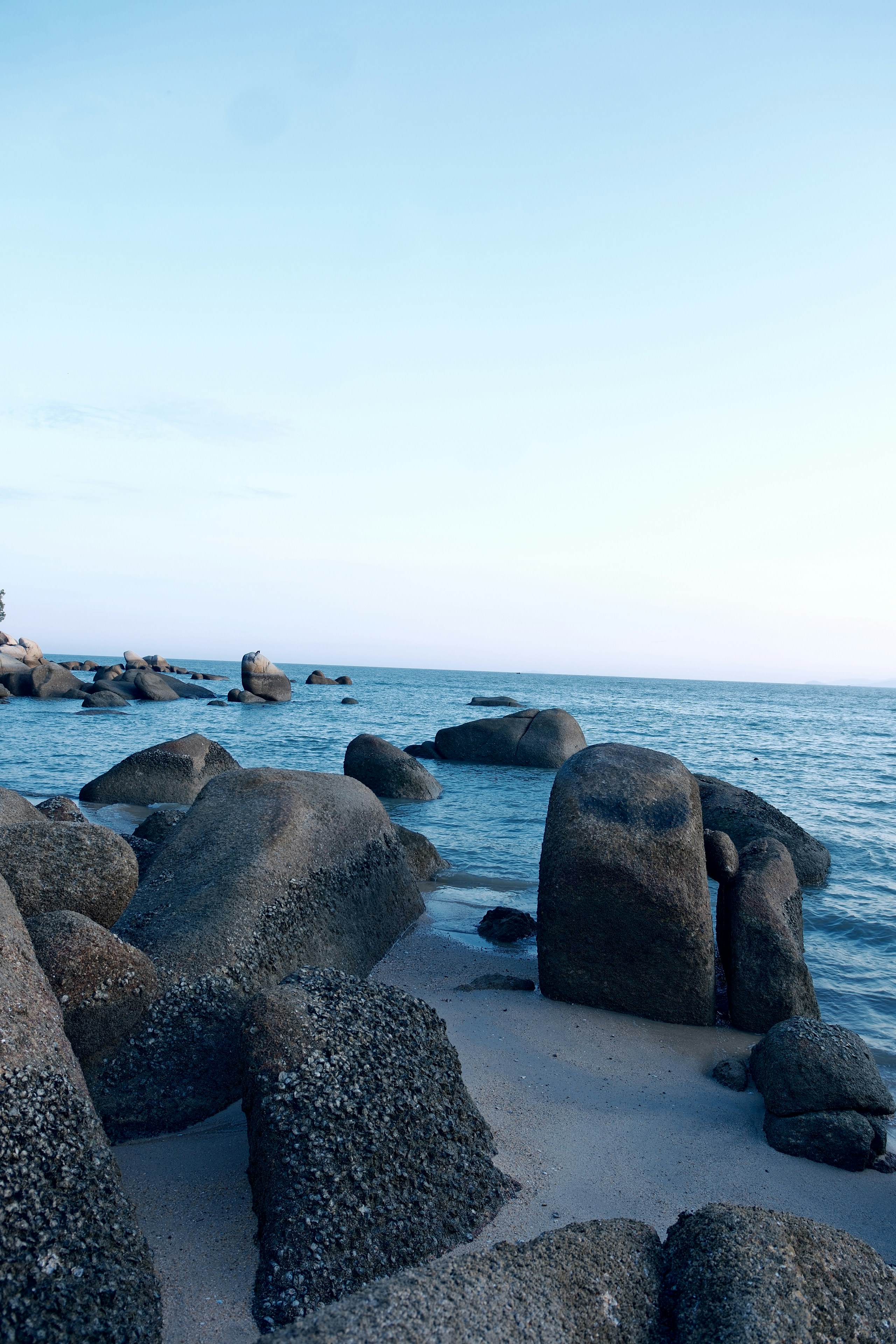 Photo by yokonoito0512