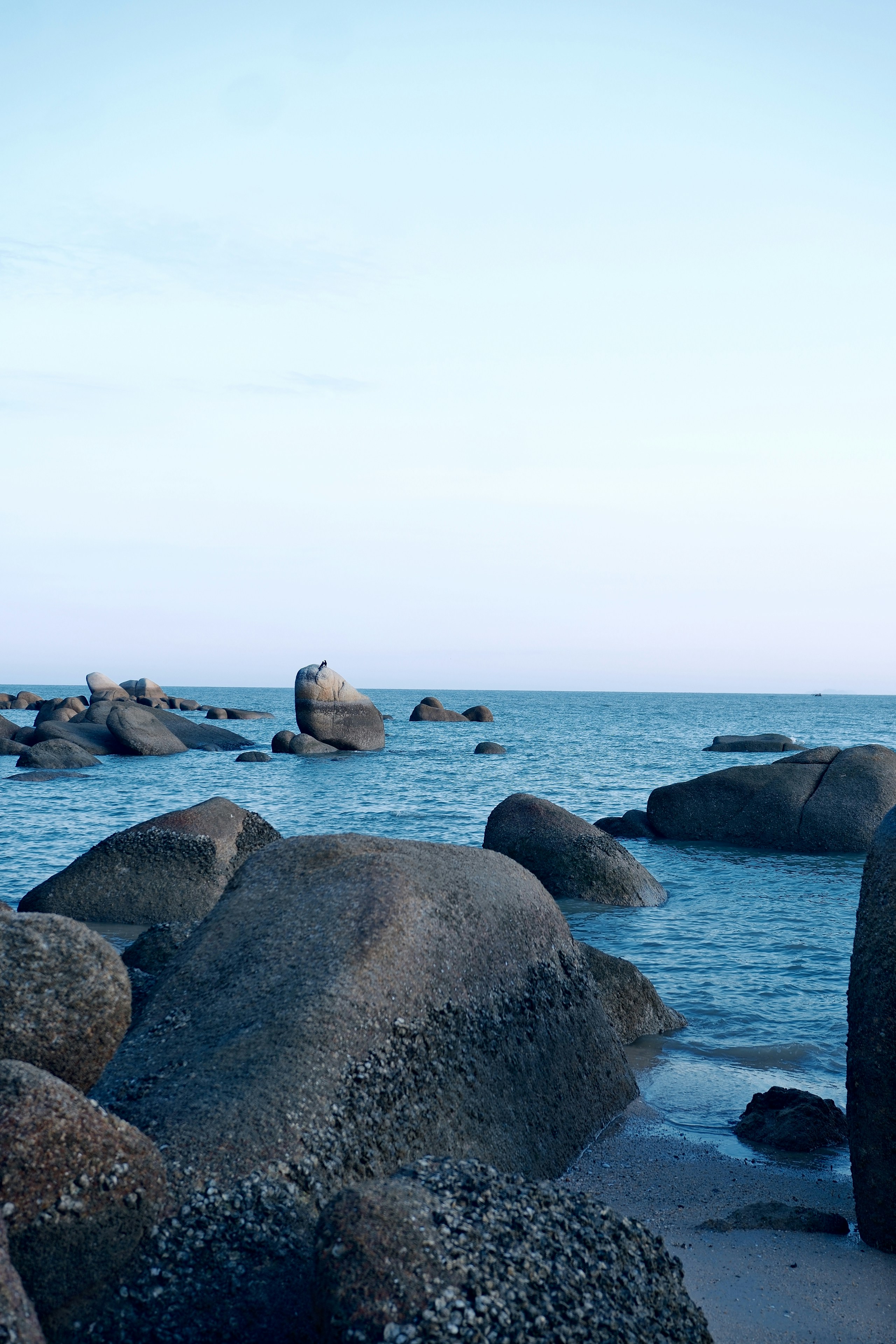 Photo by yokonoito0512