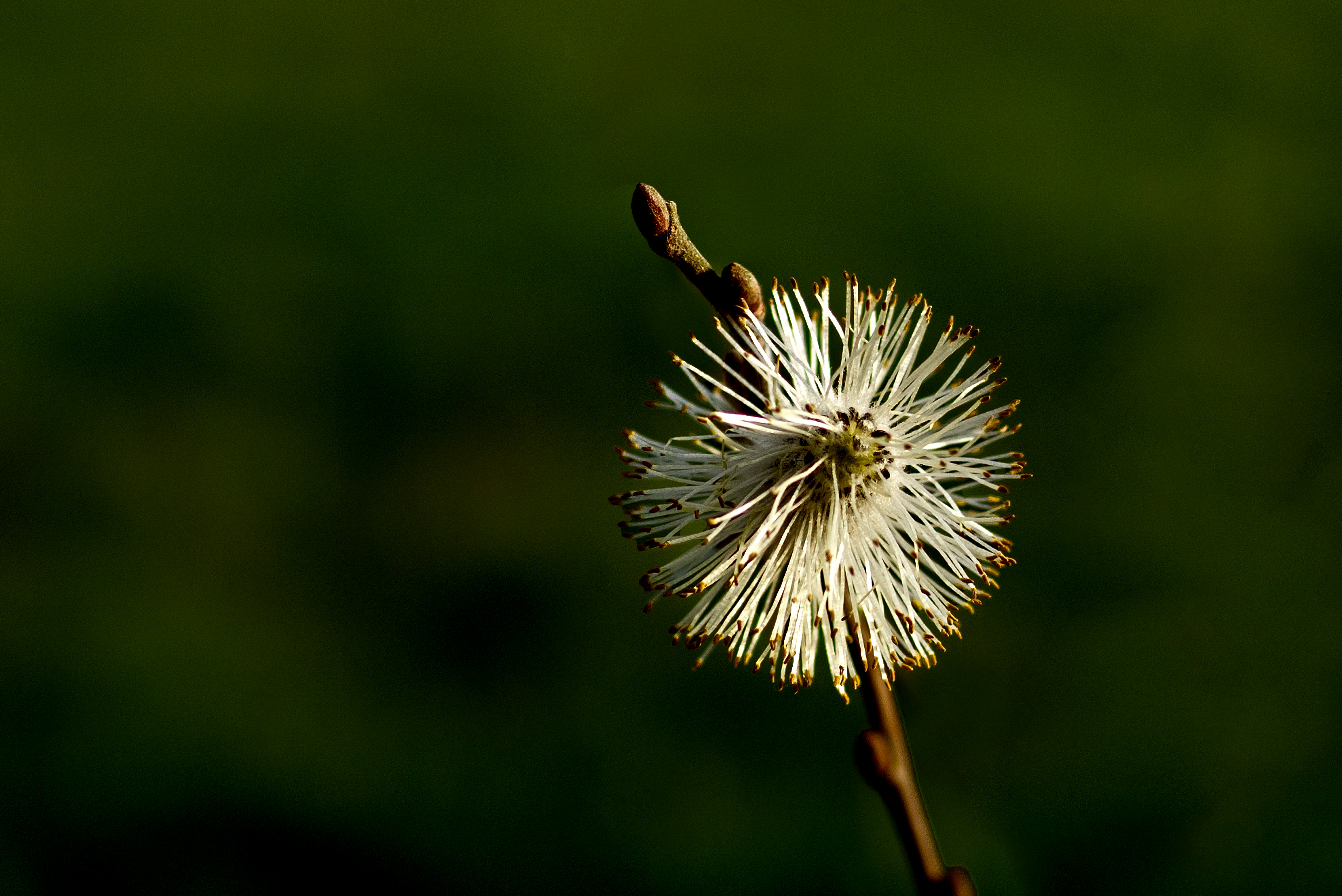 Photo by switch_dtp_fotografie