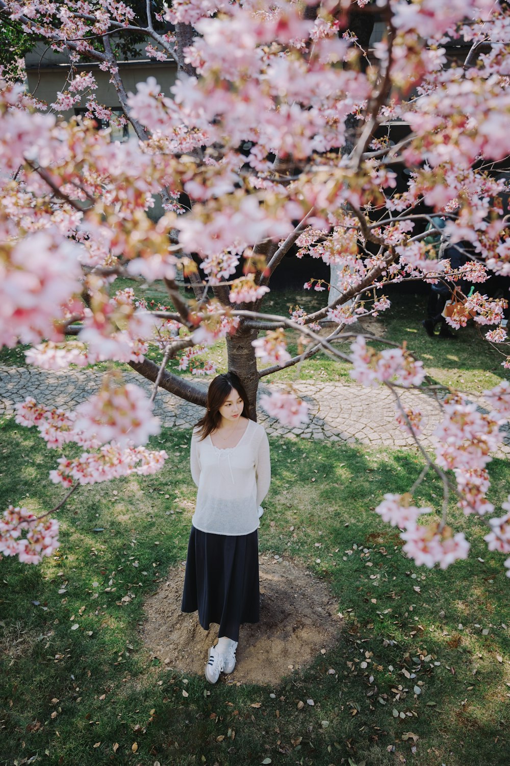 a woman standing under a cherry blossom tree