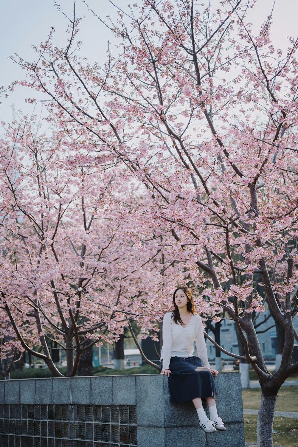 a woman sitting on a cement block in front of a tree with pink flowers