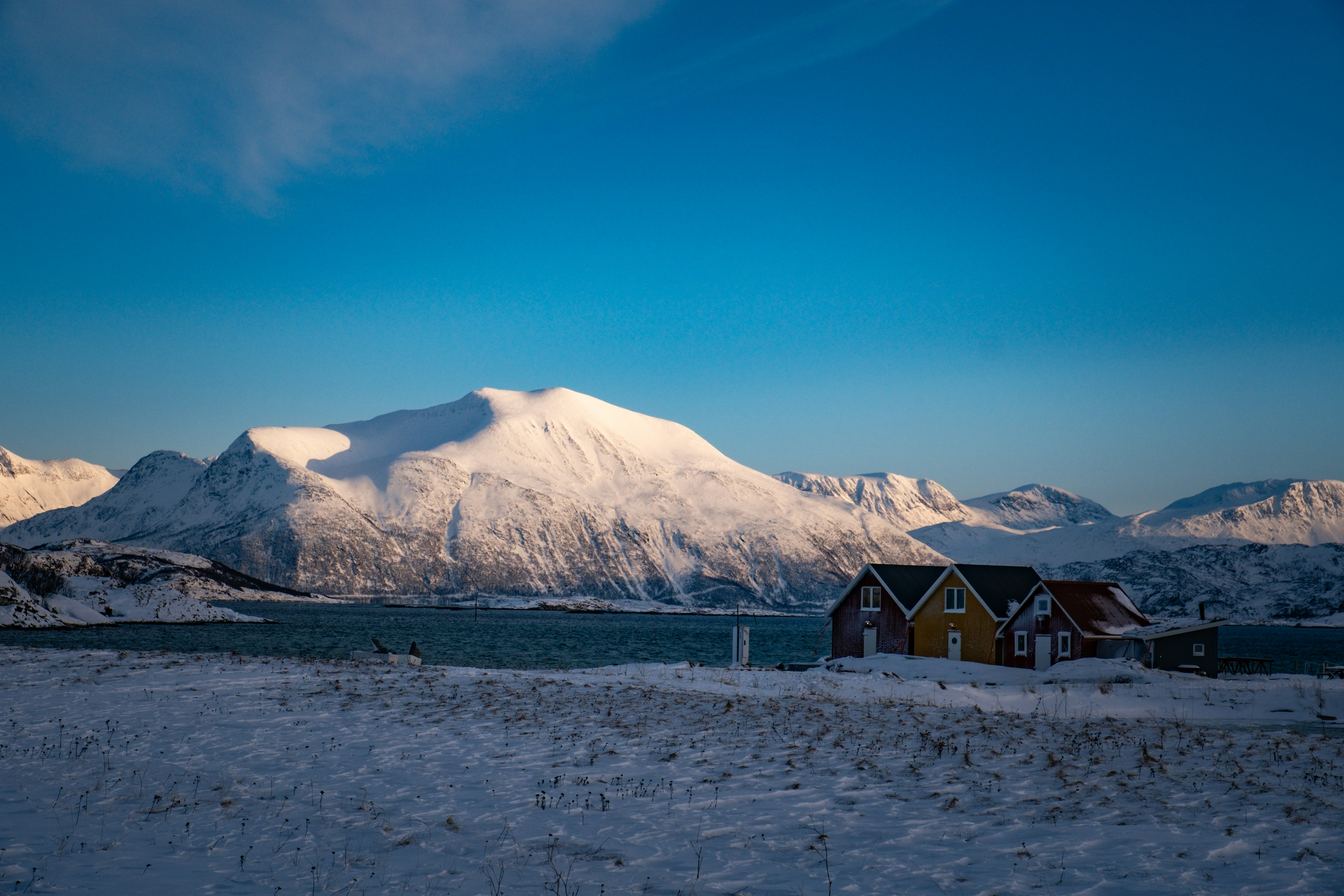 Photo by francesco_ungaro