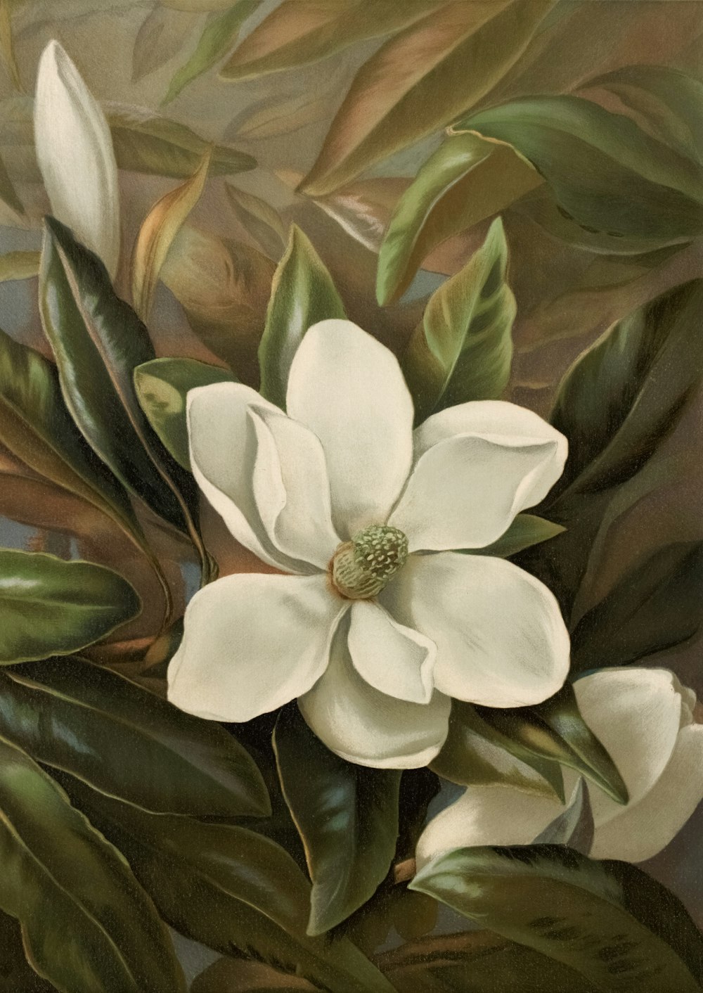 ein Gemälde einer weißen Blume mit grünen Blättern