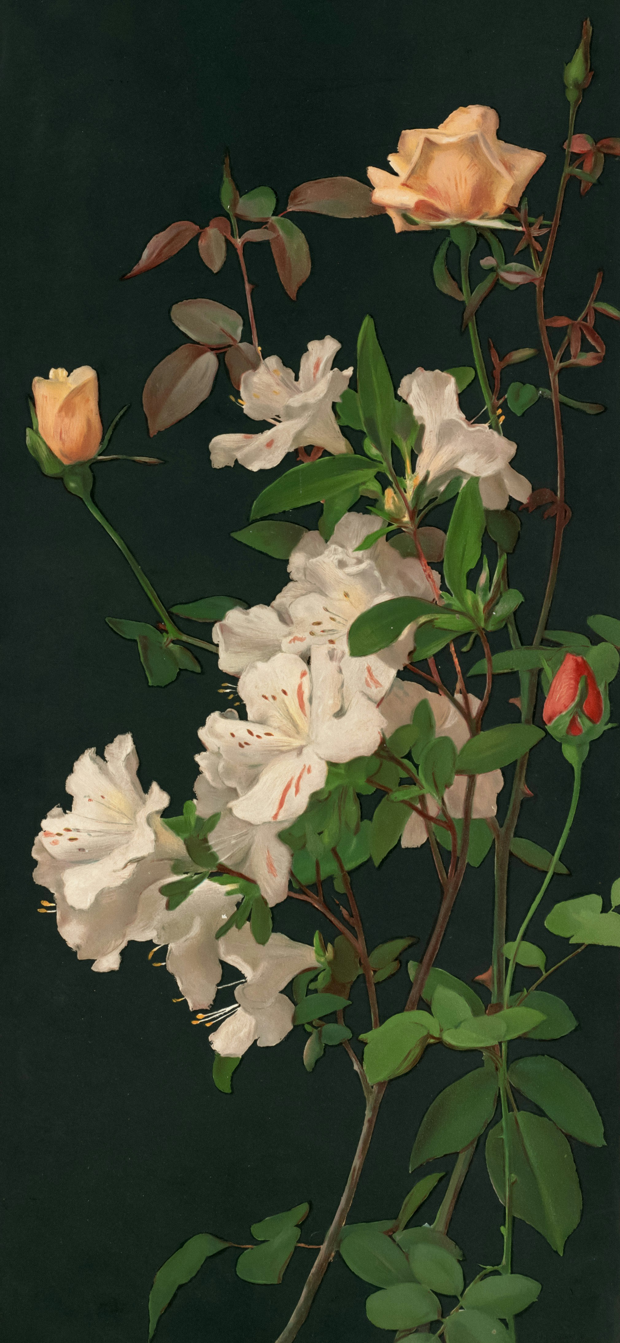 Photo by bostonpubliclibrary