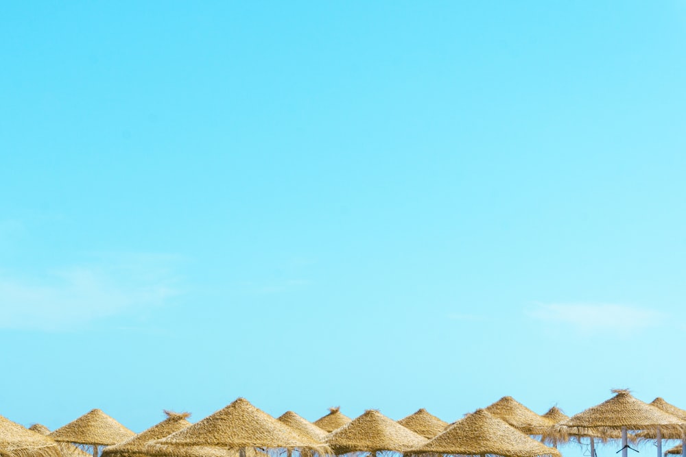a row of straw umbrellas sitting on top of a beach