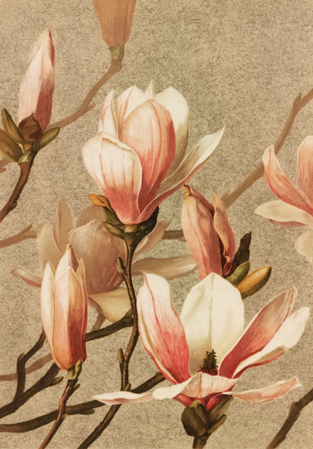 a painting of pink and white flowers on a gray background