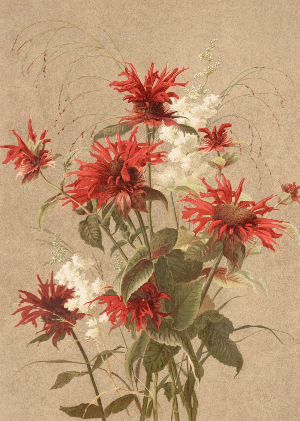 a painting of red and white flowers in a vase